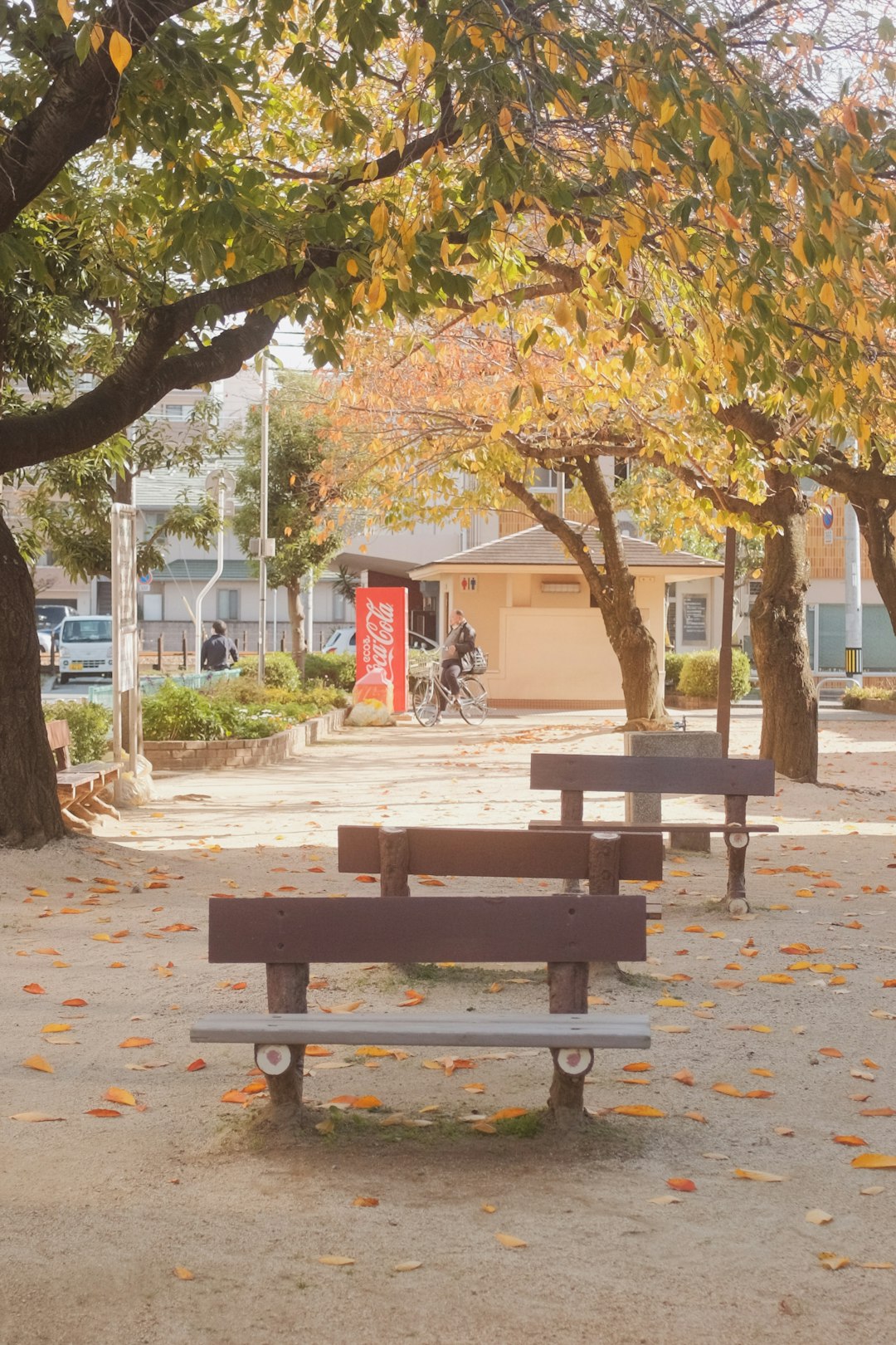 brown wooden bench under yellow leaf tree