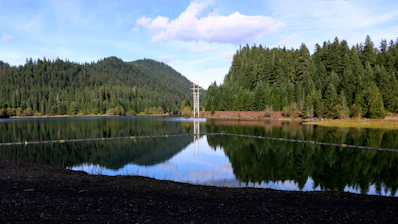 A large body of water surrounded by forest
