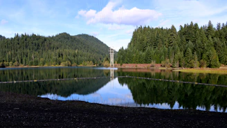 A large body of water surrounded by forest