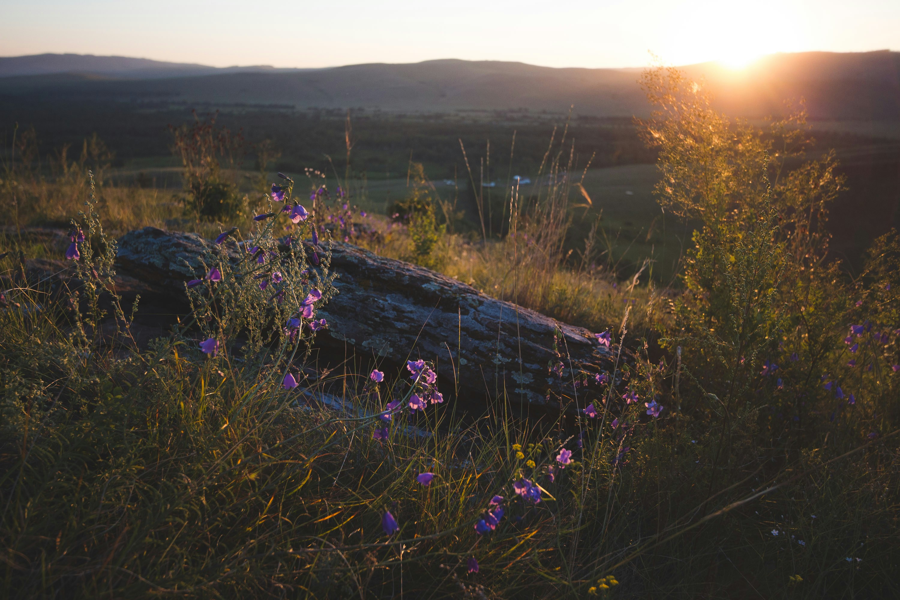 Photo by yuralytkin