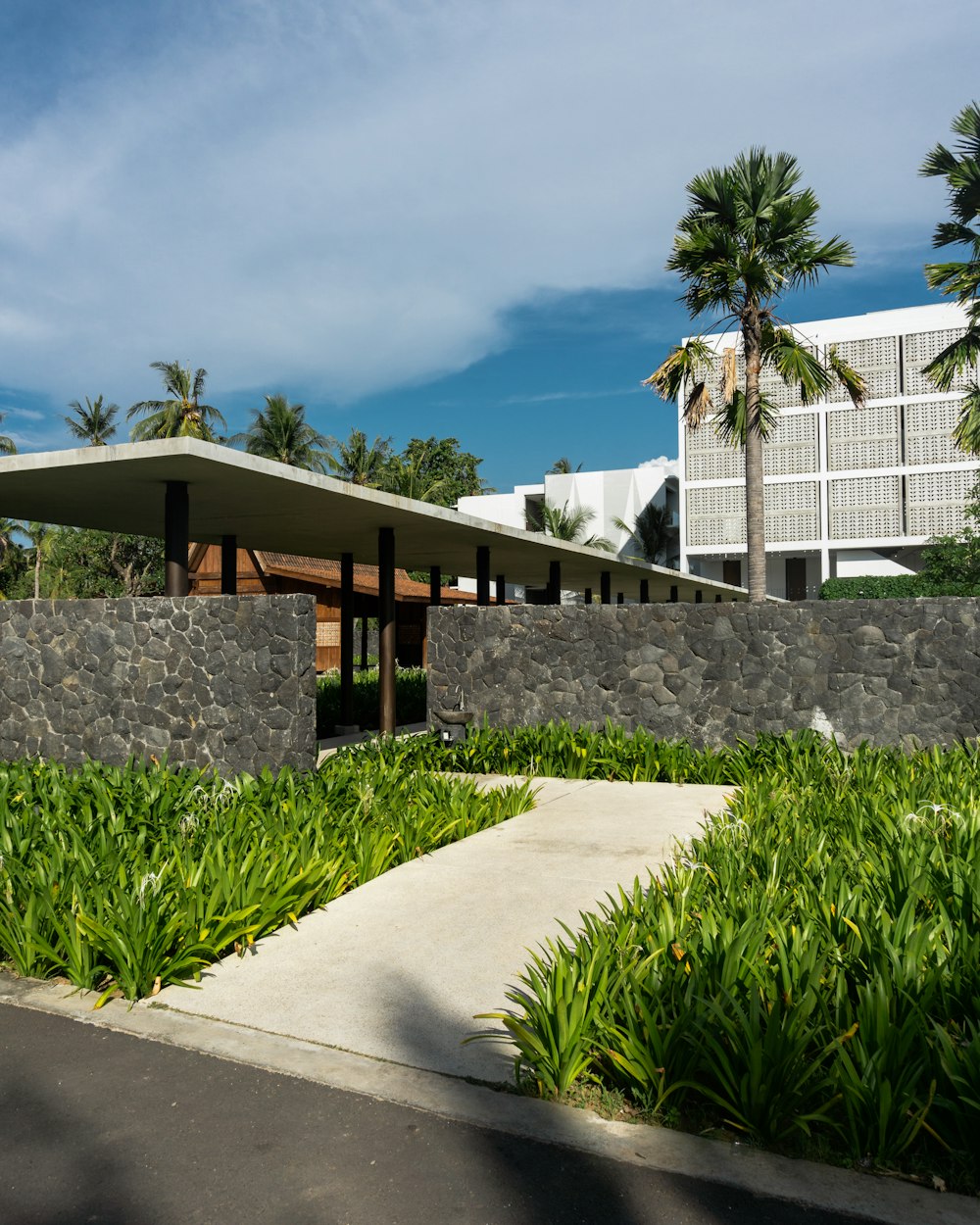 green plants near white concrete building under blue sky during daytime