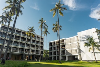 Multiple modern hotel buildings with large balconies are surrounded by tall palm trees on well-maintained lawns. The clear blue sky above adds to the tropical atmosphere.