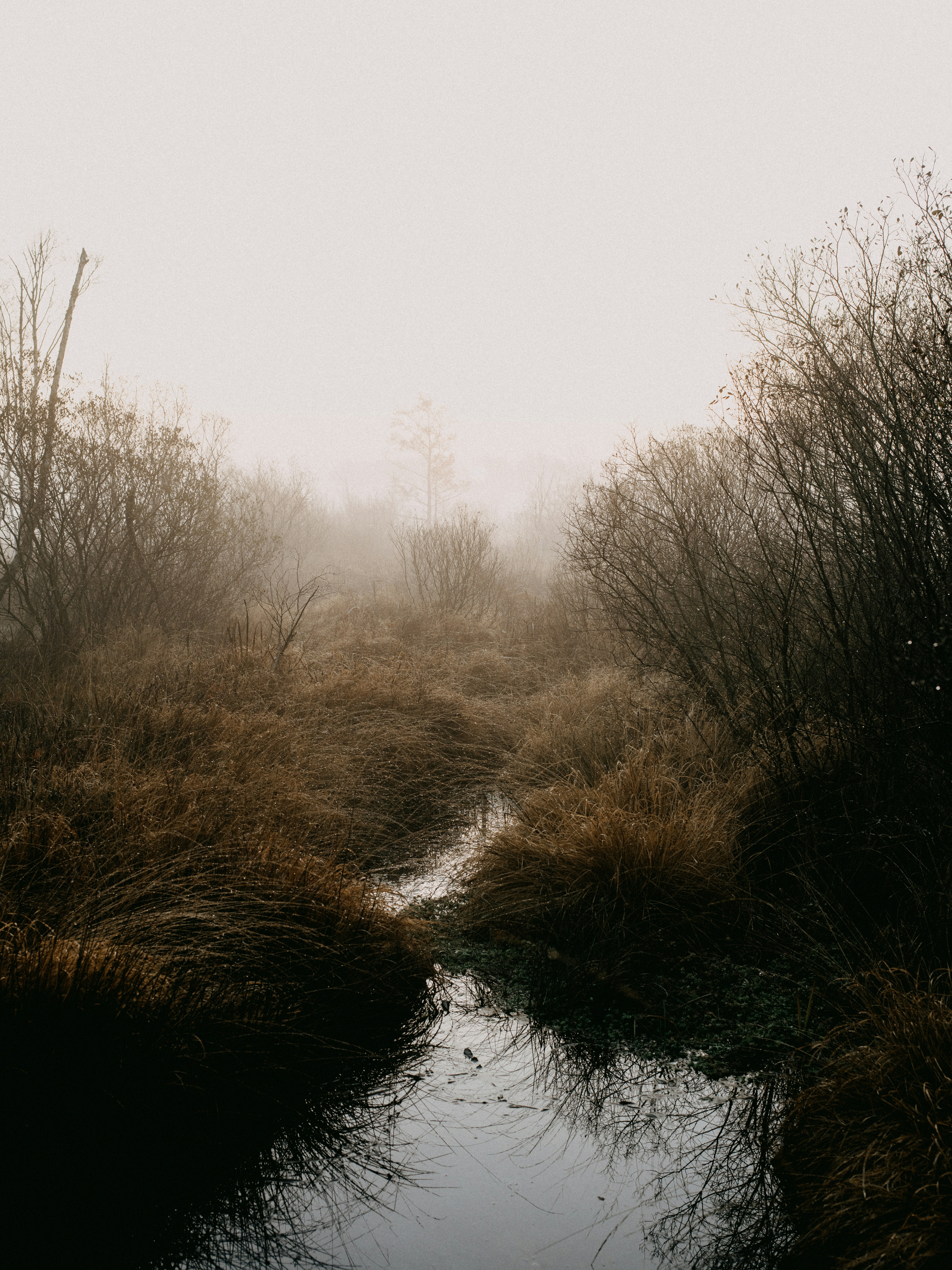 Photo by anniespratt