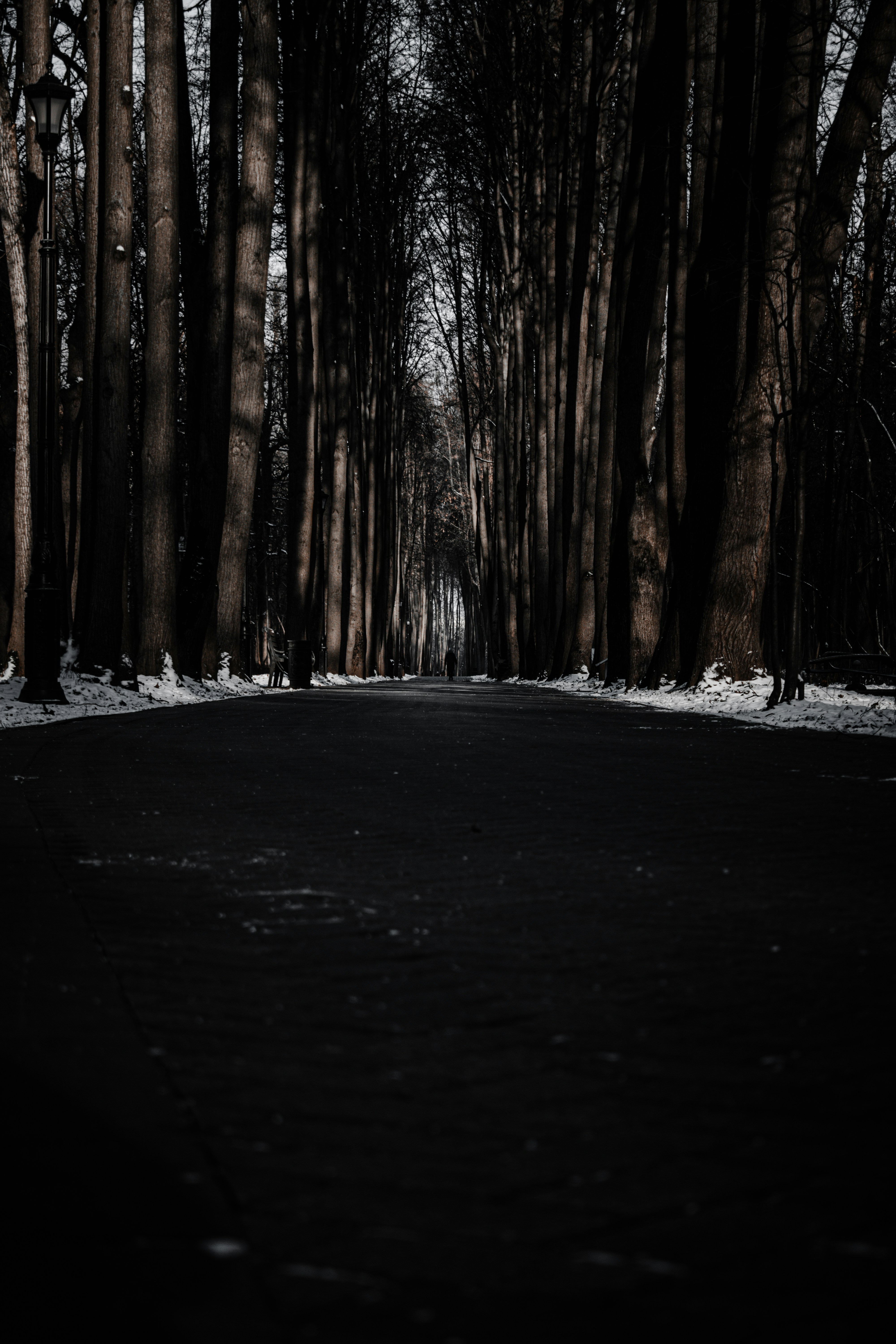 Photo by klim11