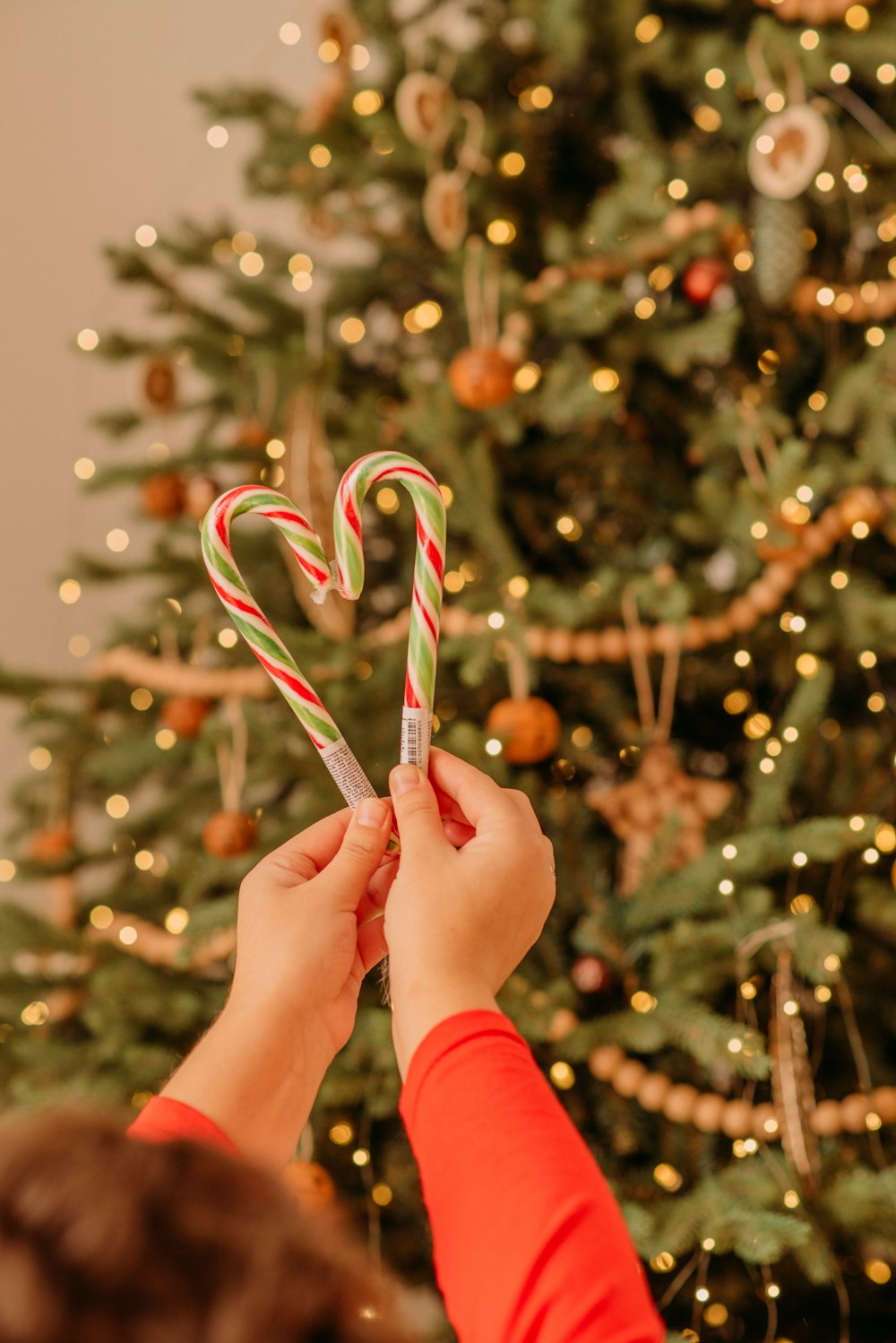 person holding red and white candy cane