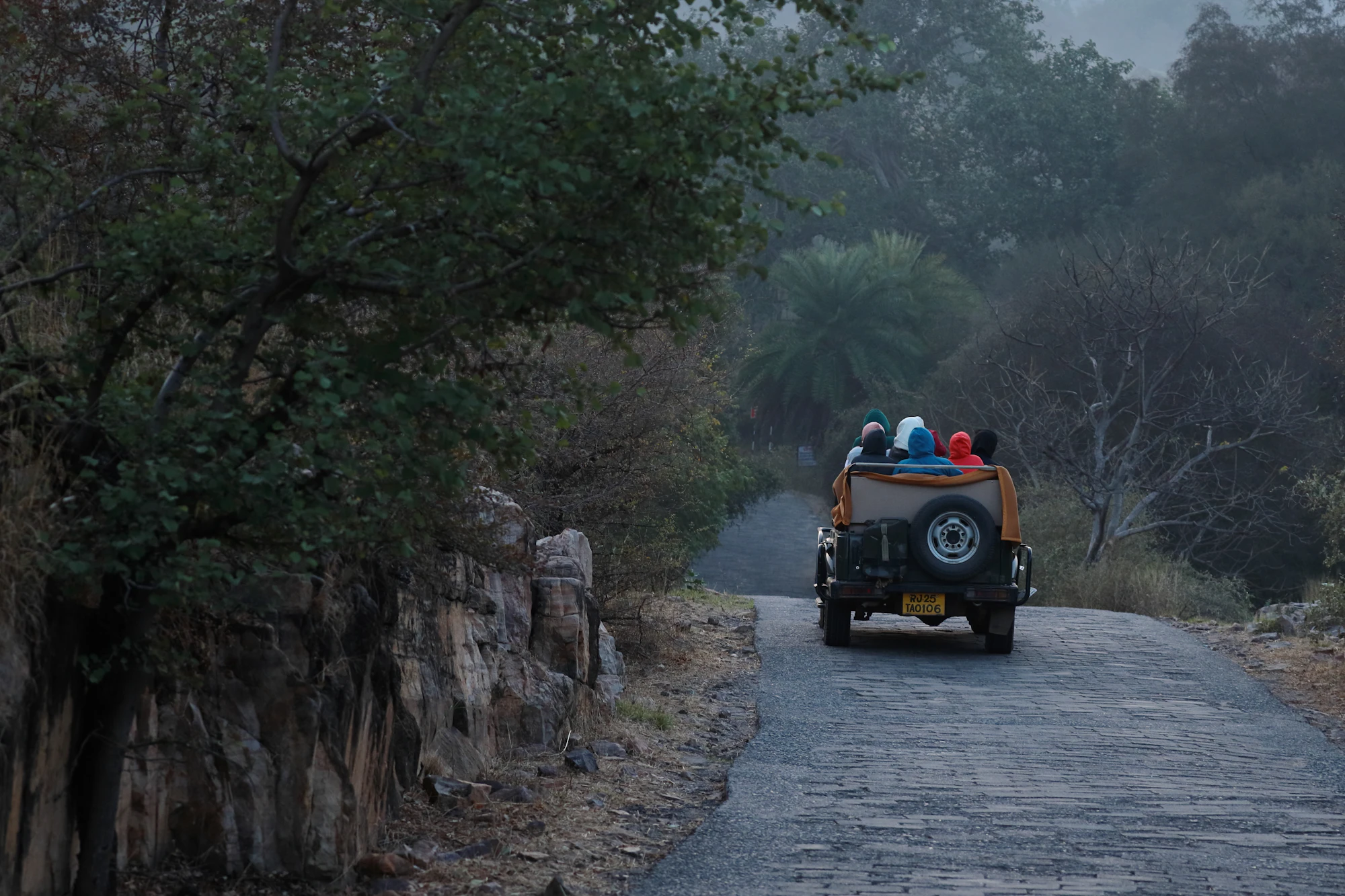 Ranthambore in different seasons
