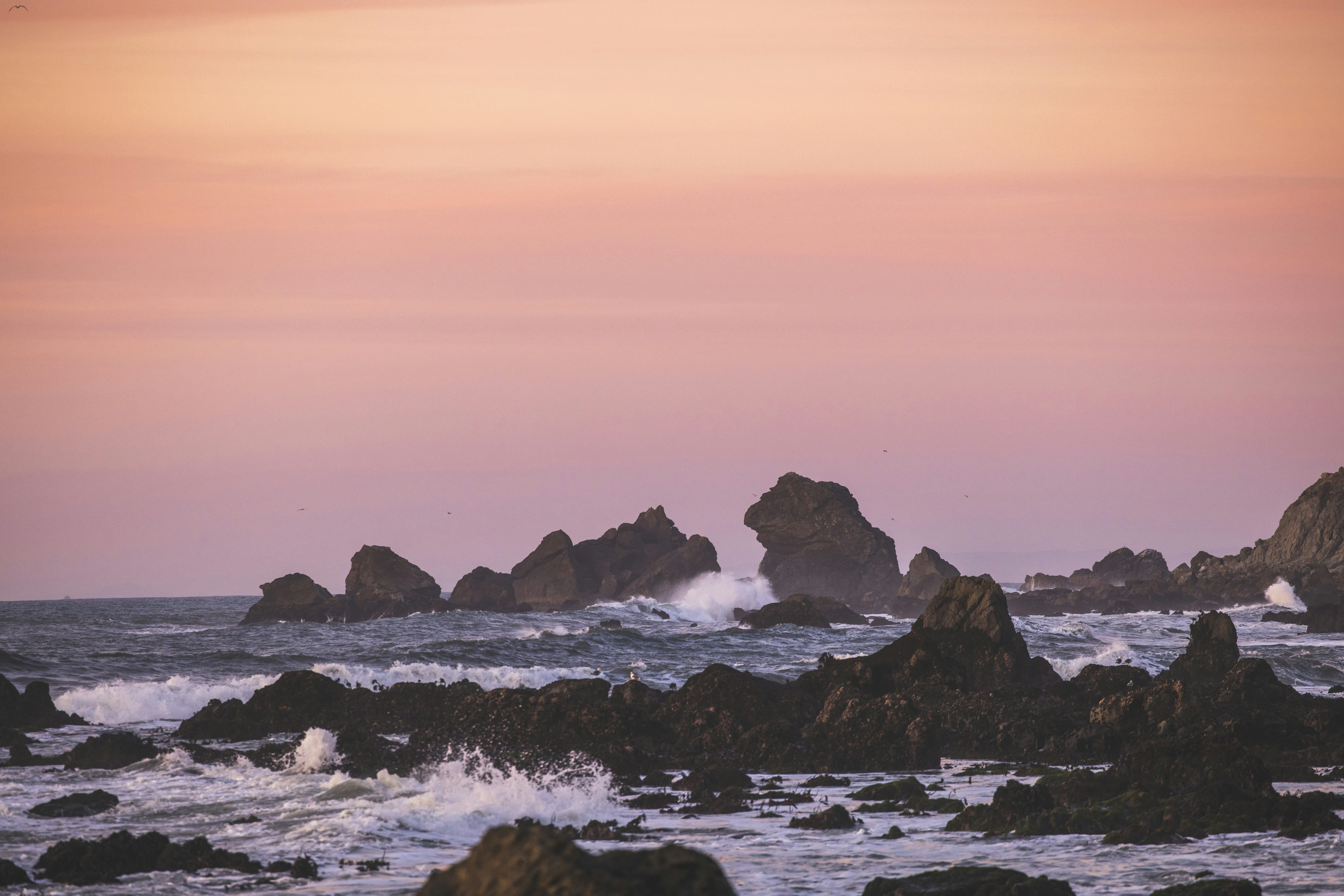 Photo by leo_visions_