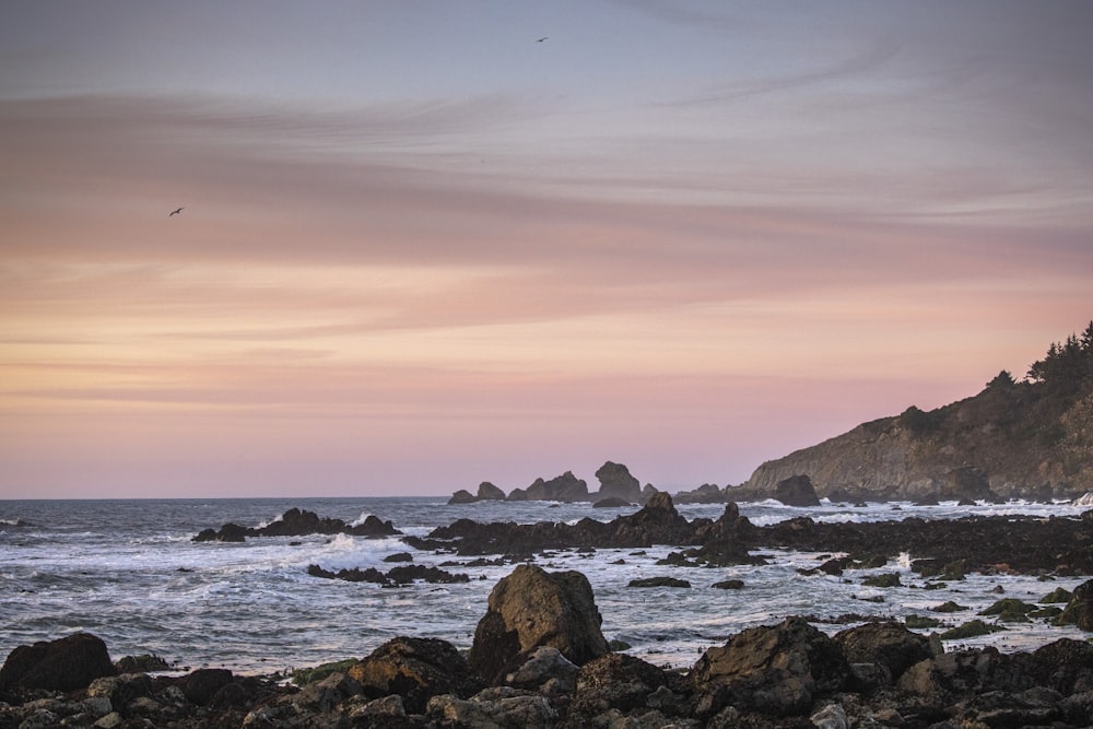 rocky shore with rocks on the side during sunset