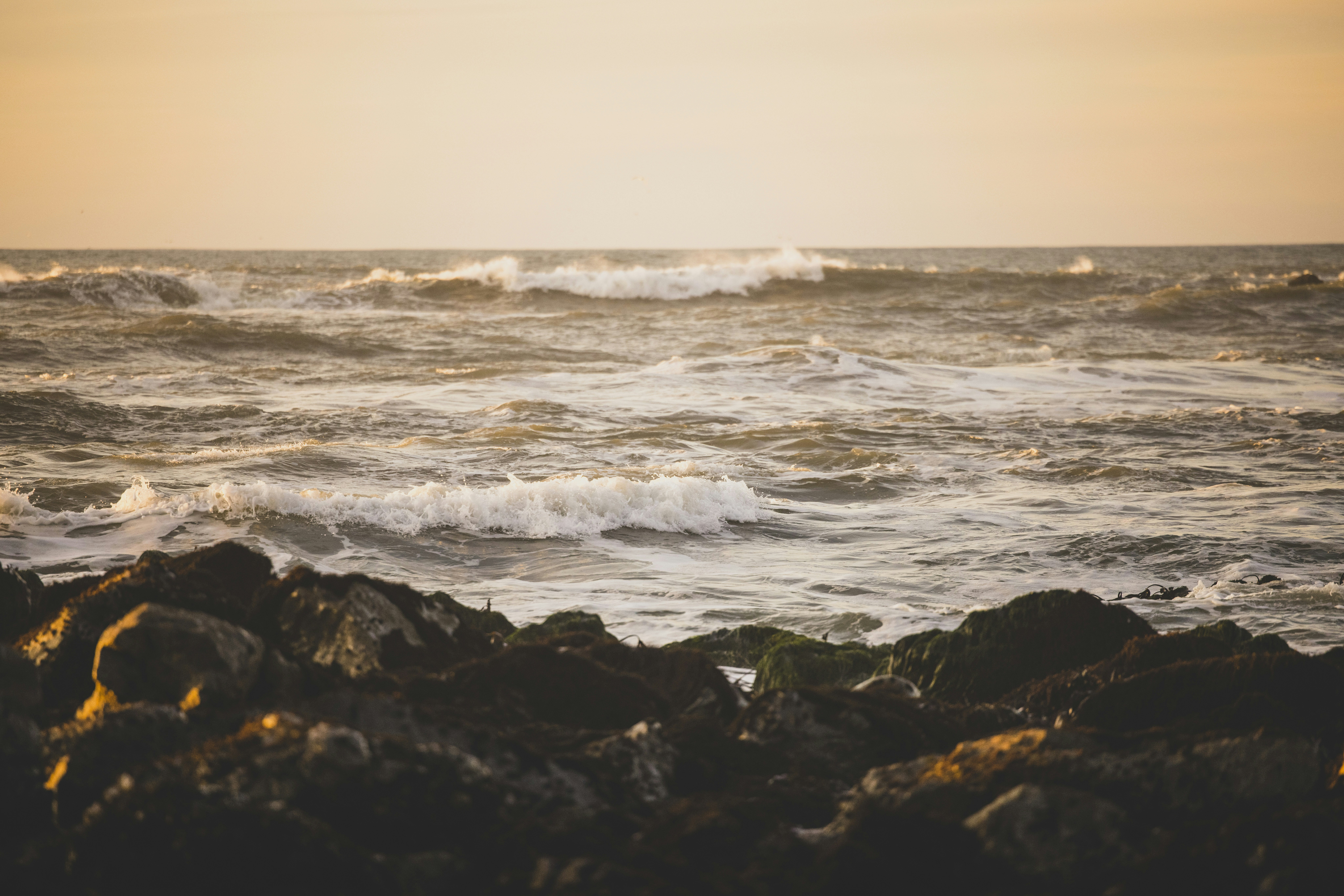 Photo by leo_visions_