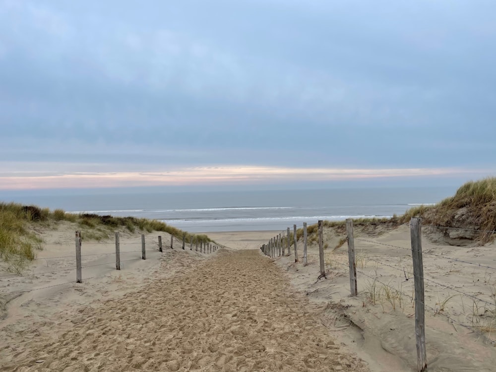 brown sand near body of water during daytime