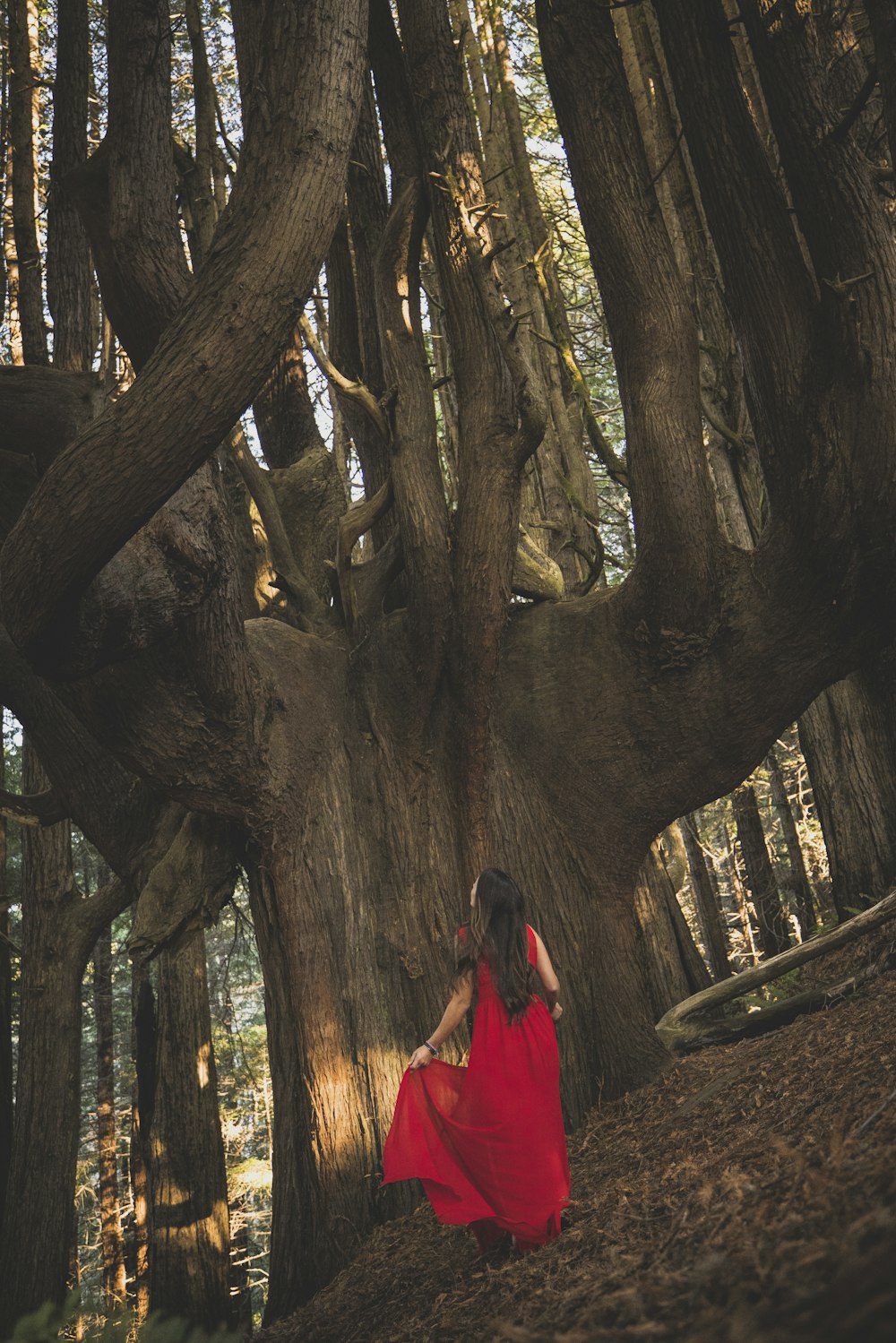 woman in red dress standing near brown tree