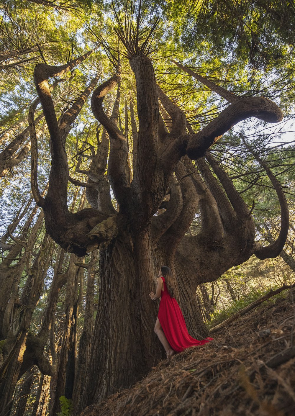 woman in red and white dress standing under brown tree