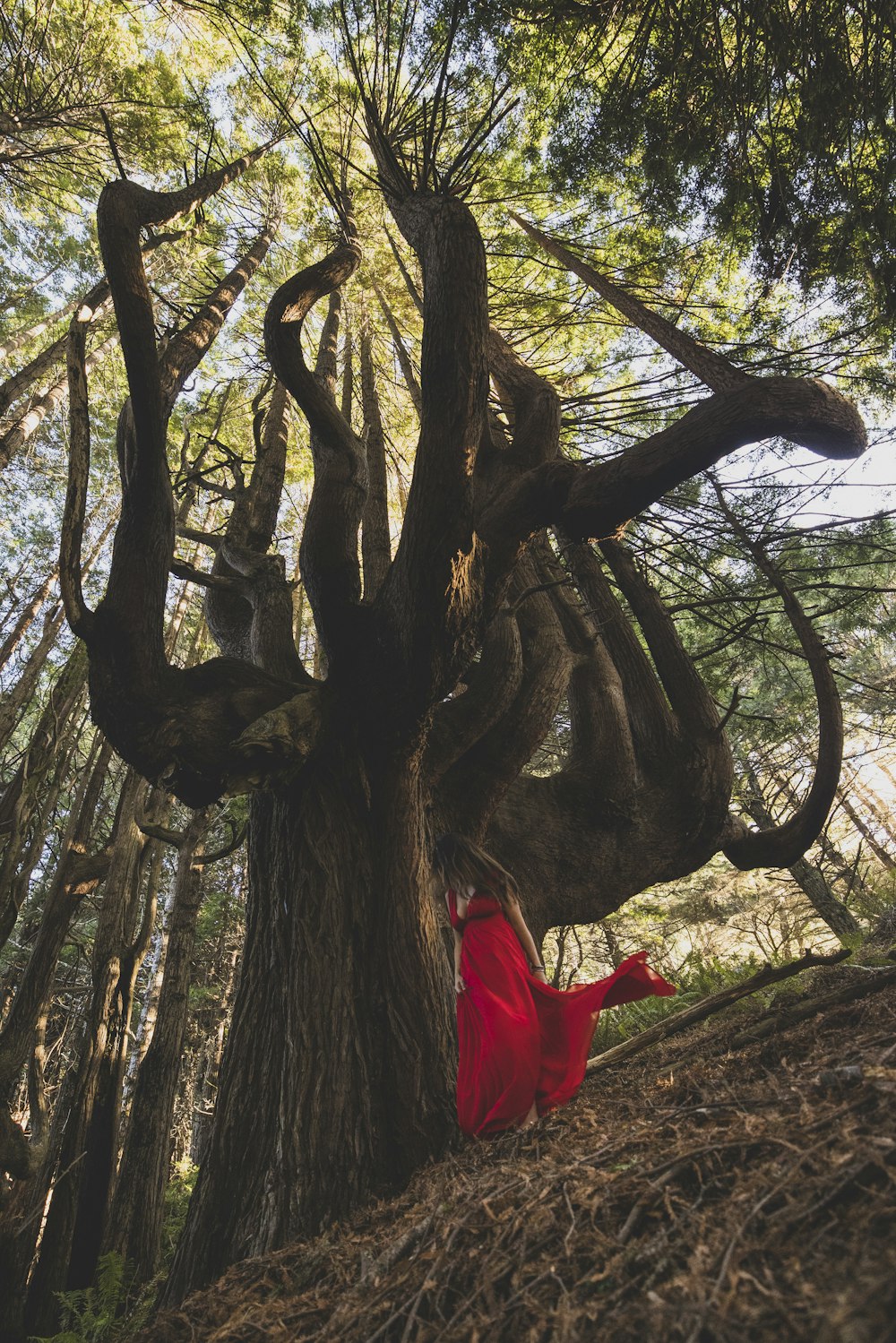 woman in red dress standing beside brown tree