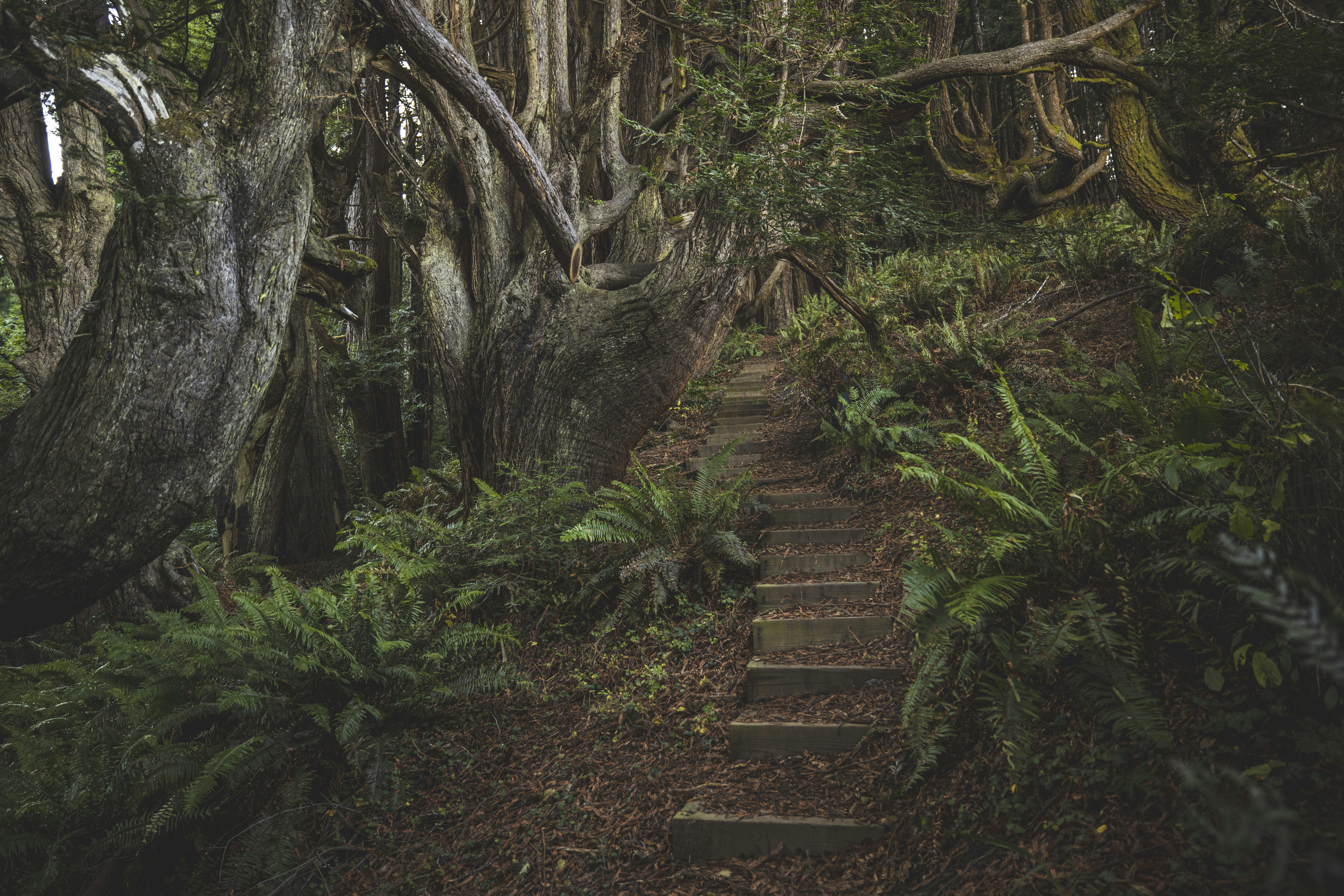 Photo by leo_visions_