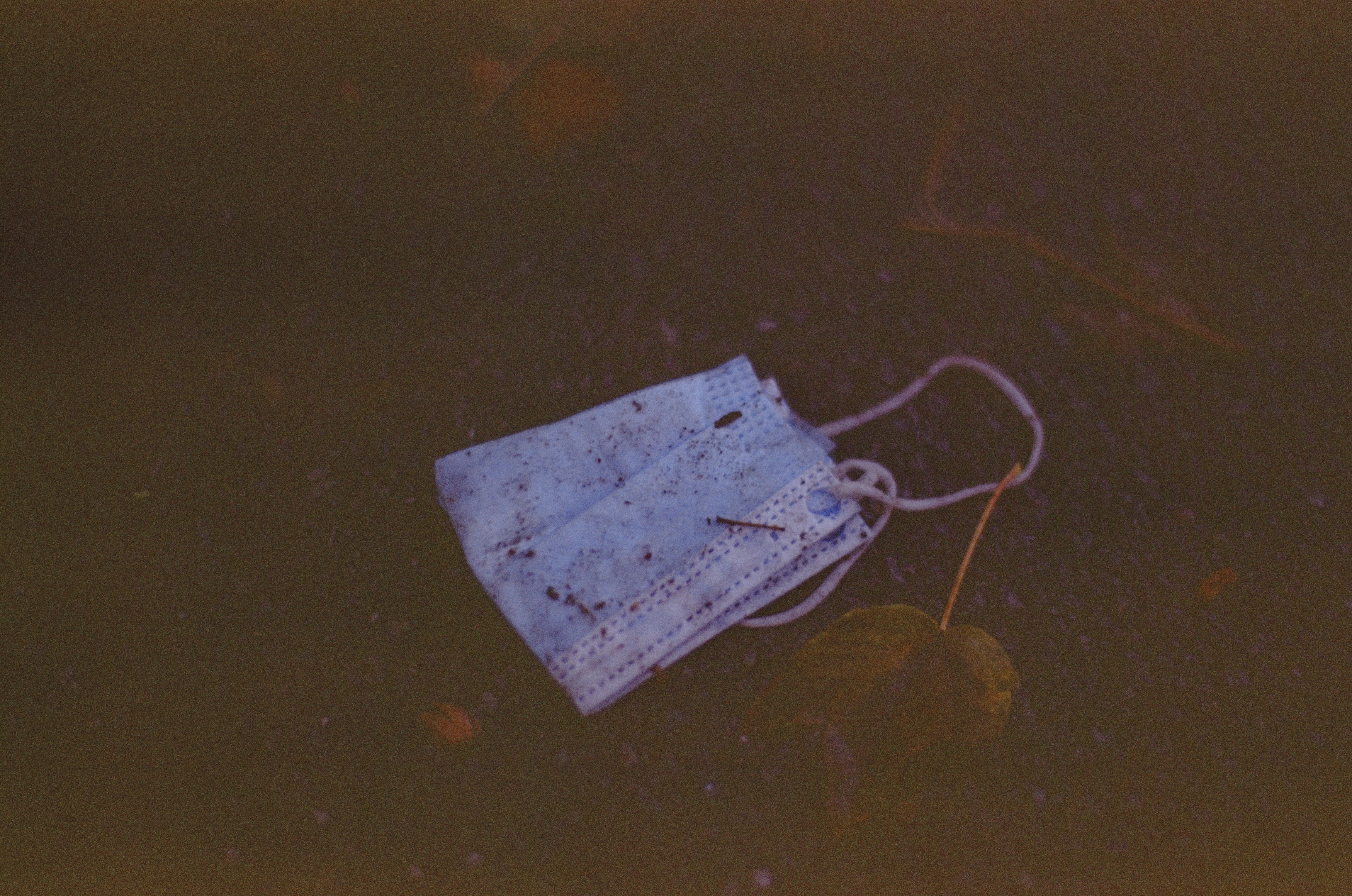 Photo by markusspiske