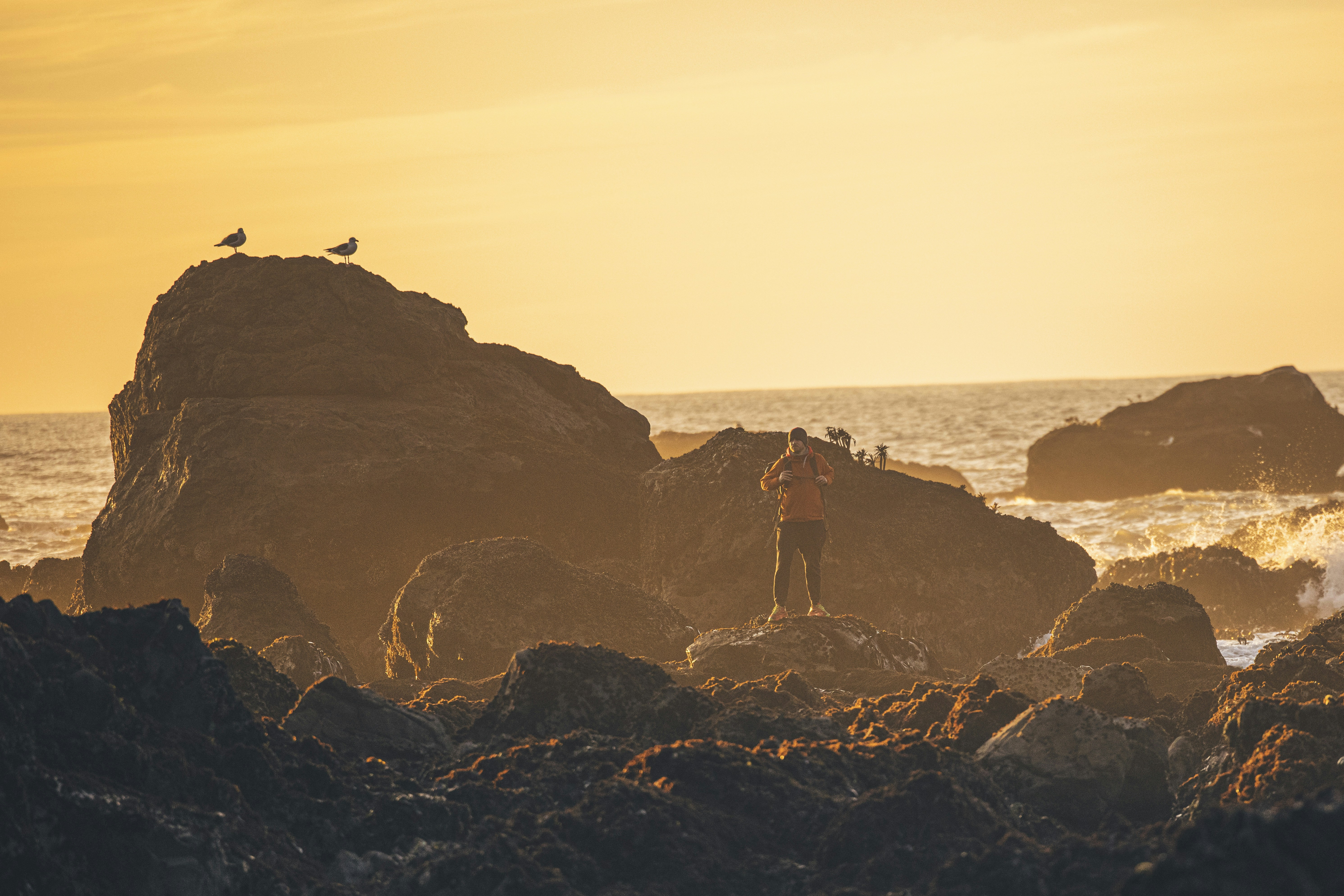 Photo by leo_visions_