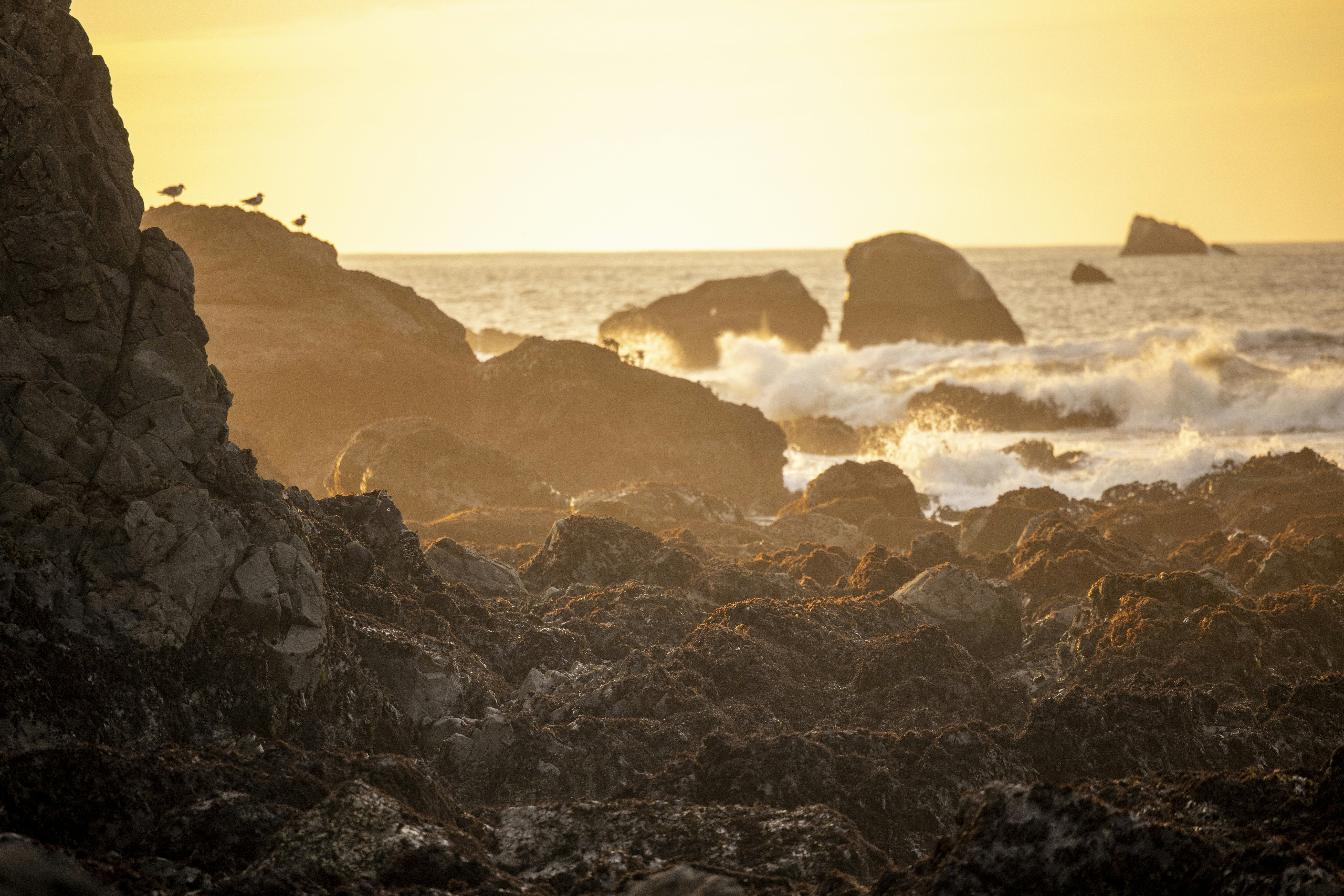 Photo by leo_visions_