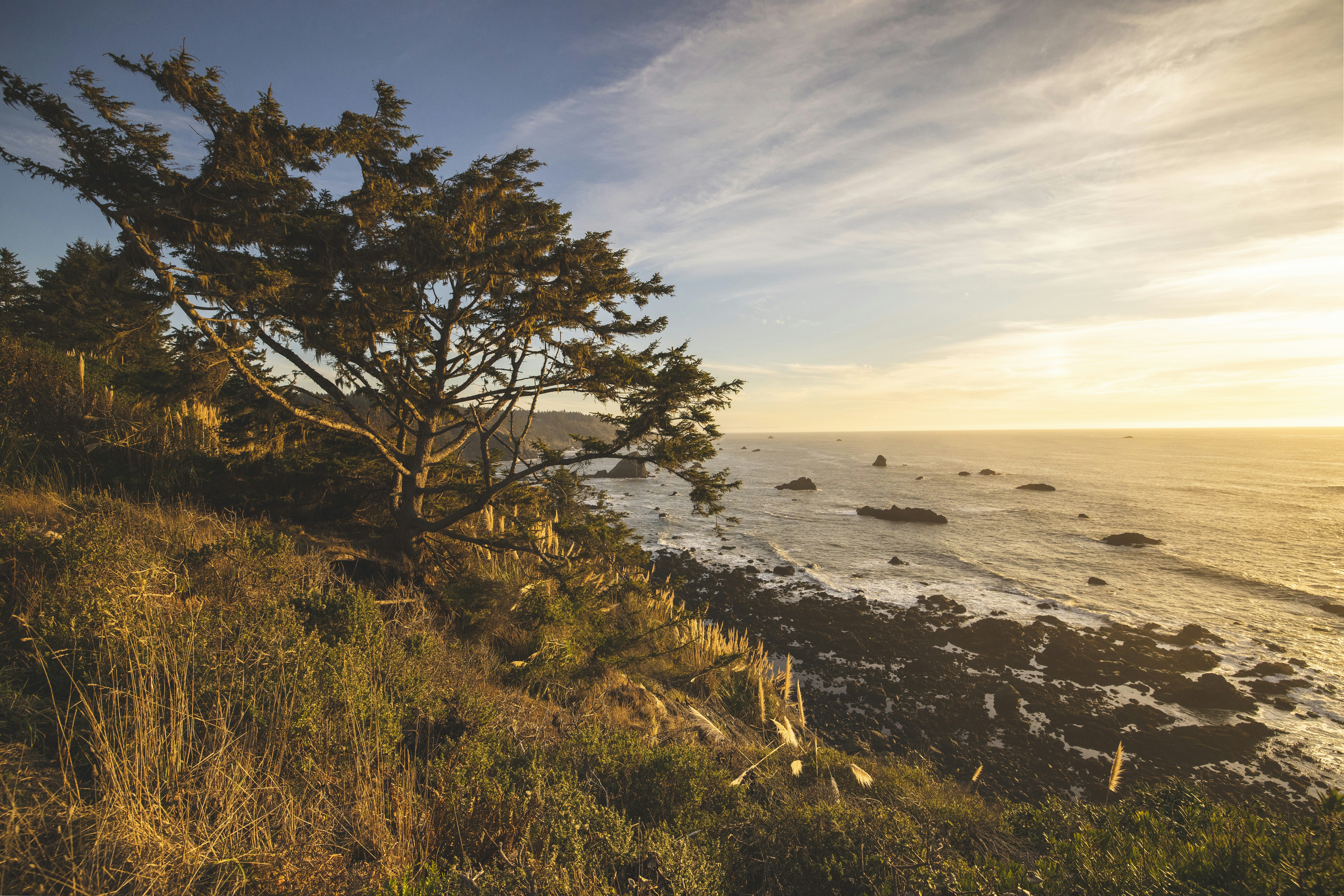 Photo by leo_visions_