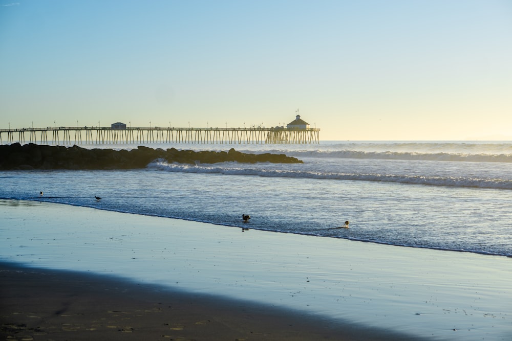 people walking on beach during daytime