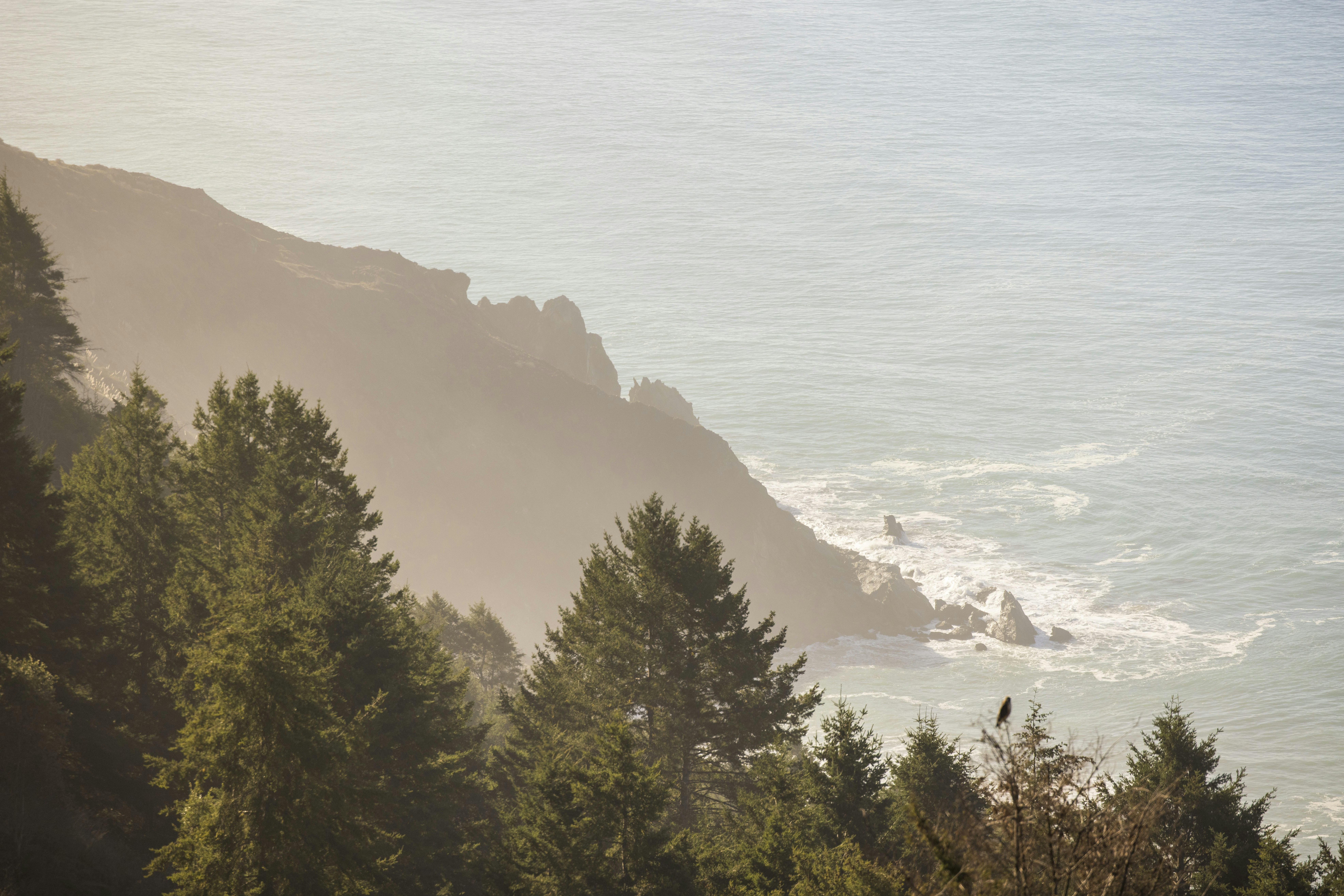 Photo by leo_visions_