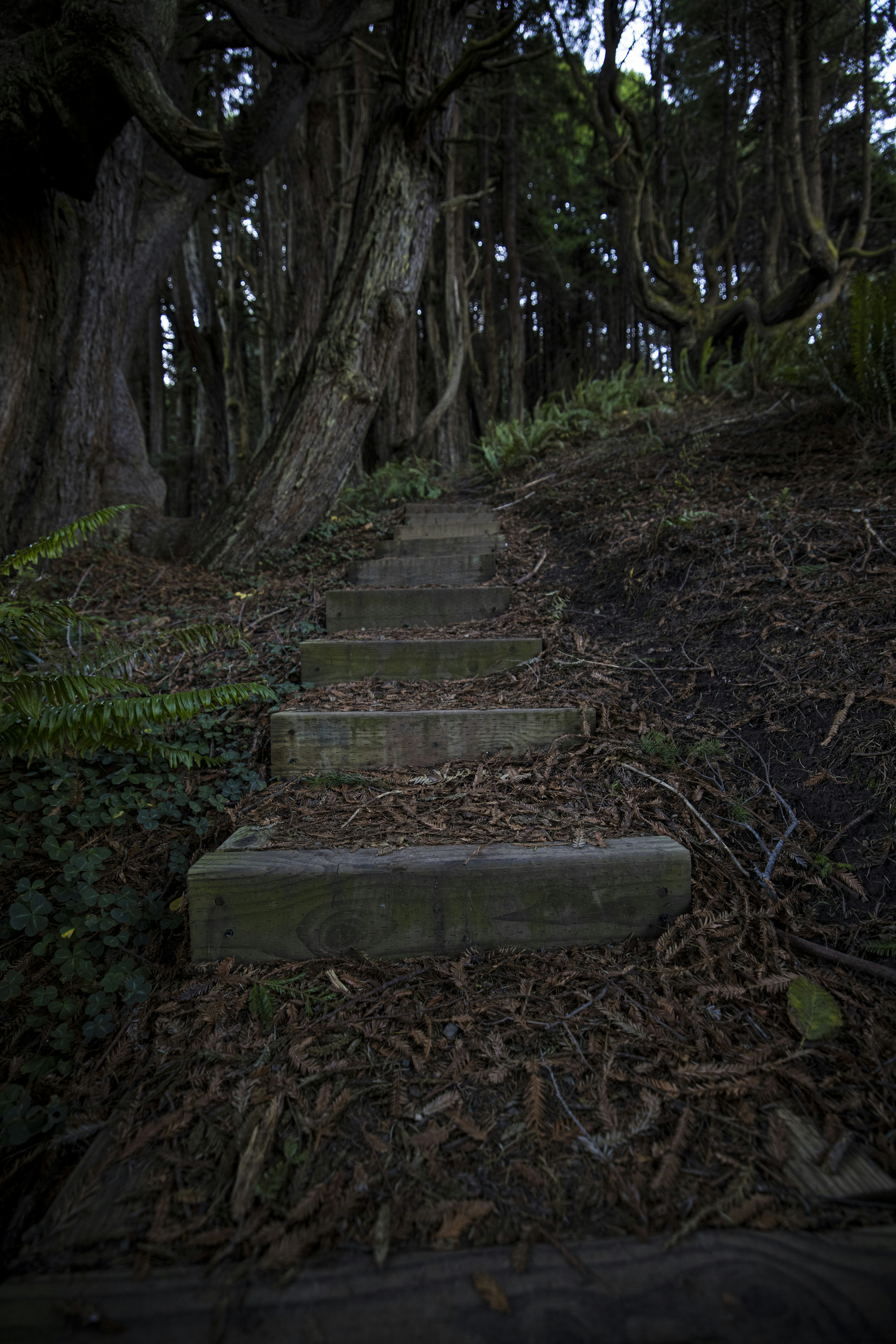 Photo by leo_visions_