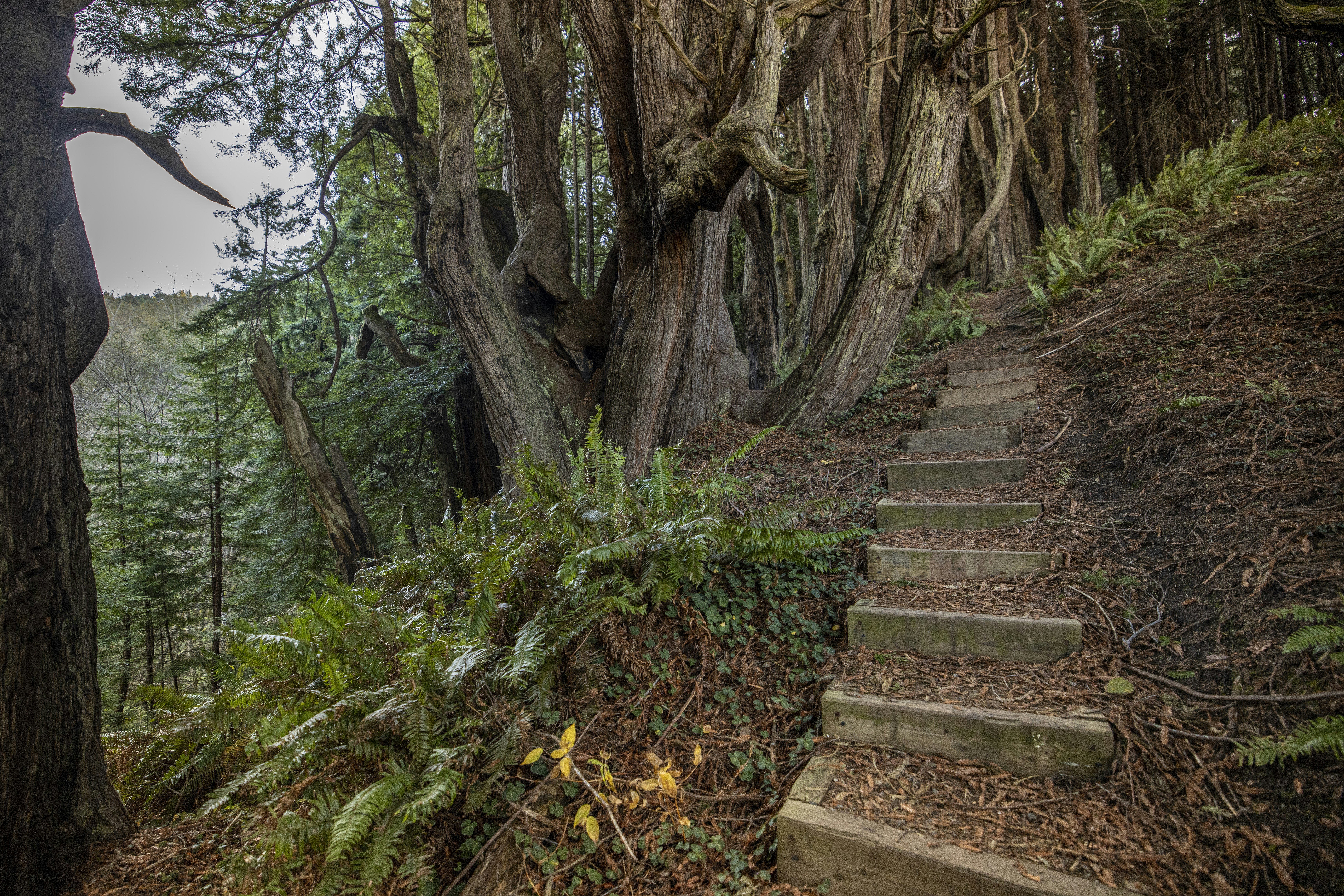 Photo by leo_visions_