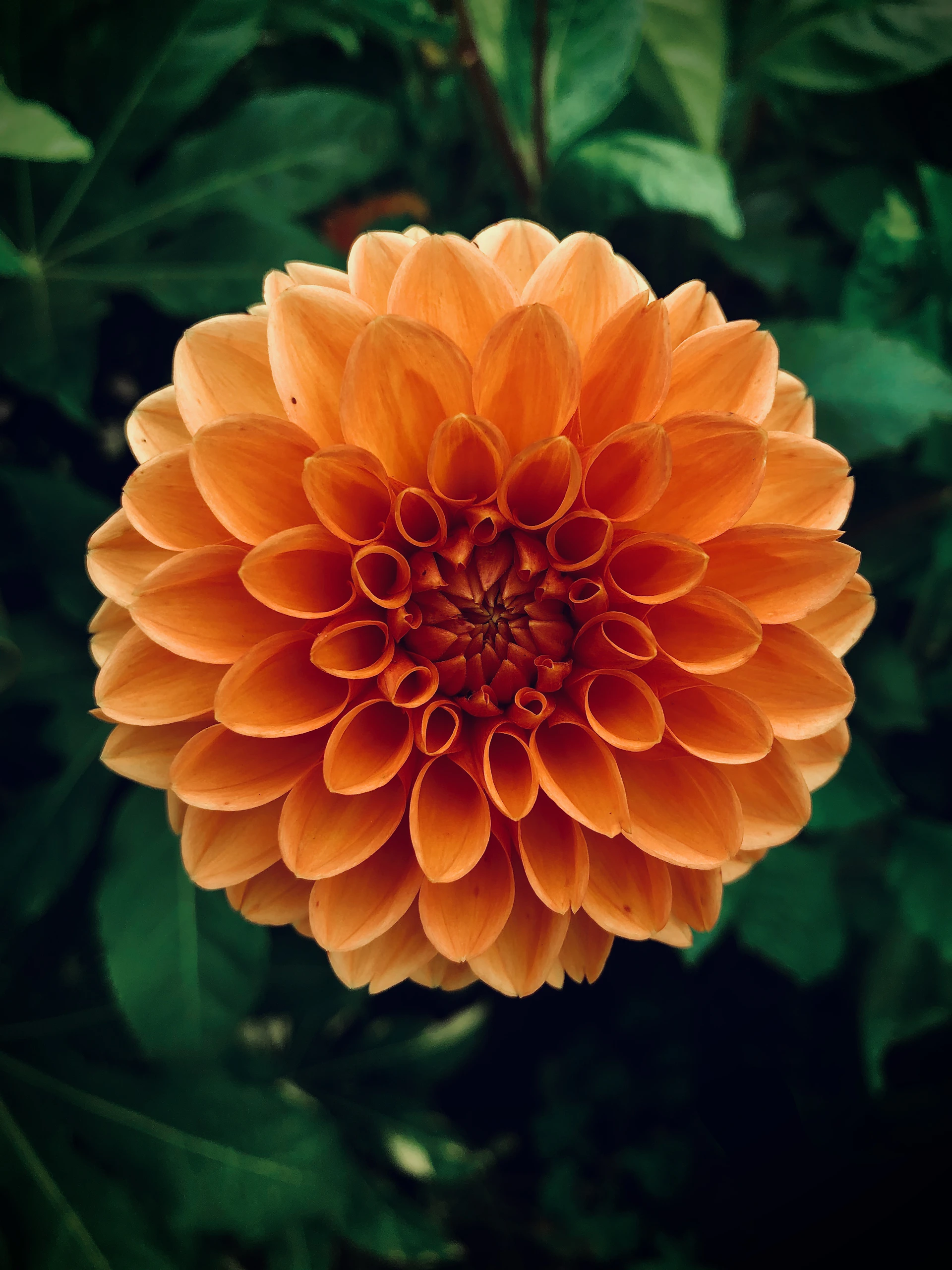 保湿トリートメント後のしっとりとしたミディアムヘア