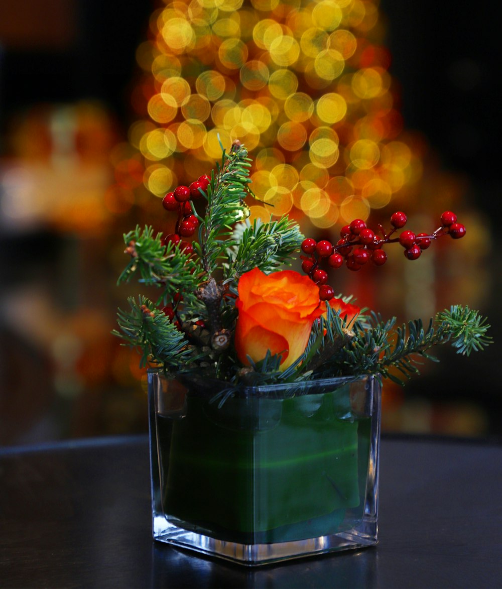 orange and yellow flowers in clear glass vase