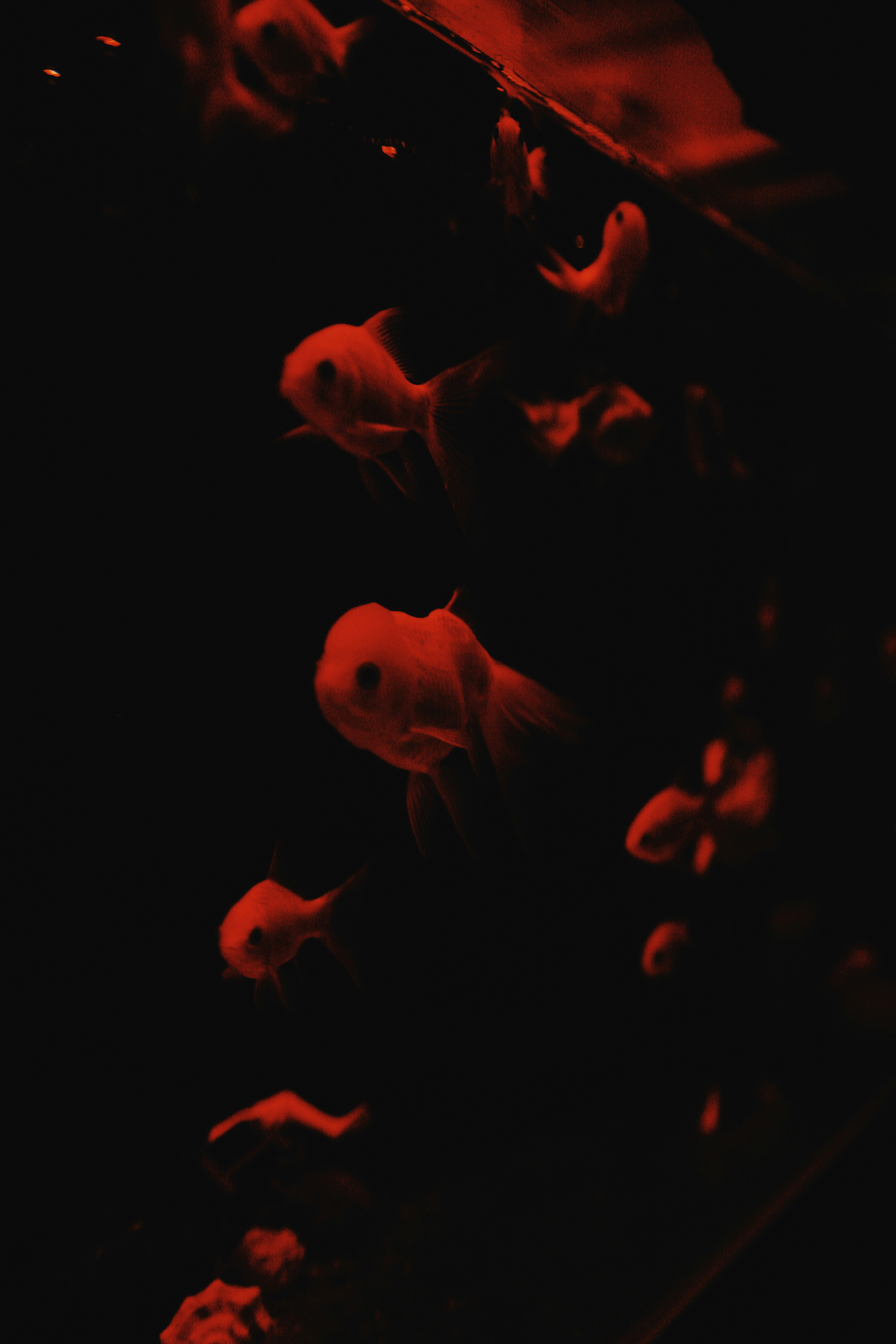 Photo by hanxiaoyaaaaa