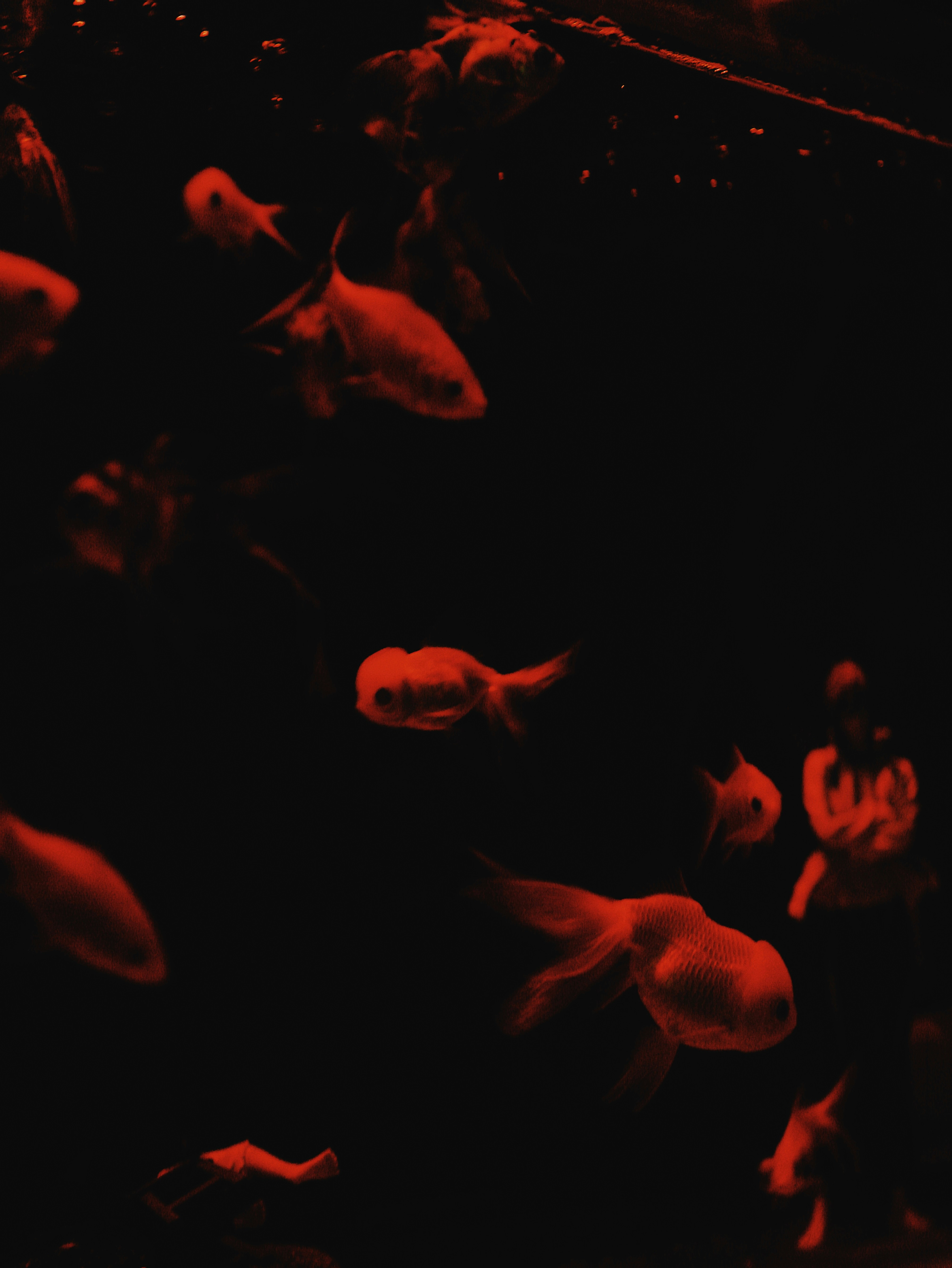 Photo by hanxiaoyaaaaa