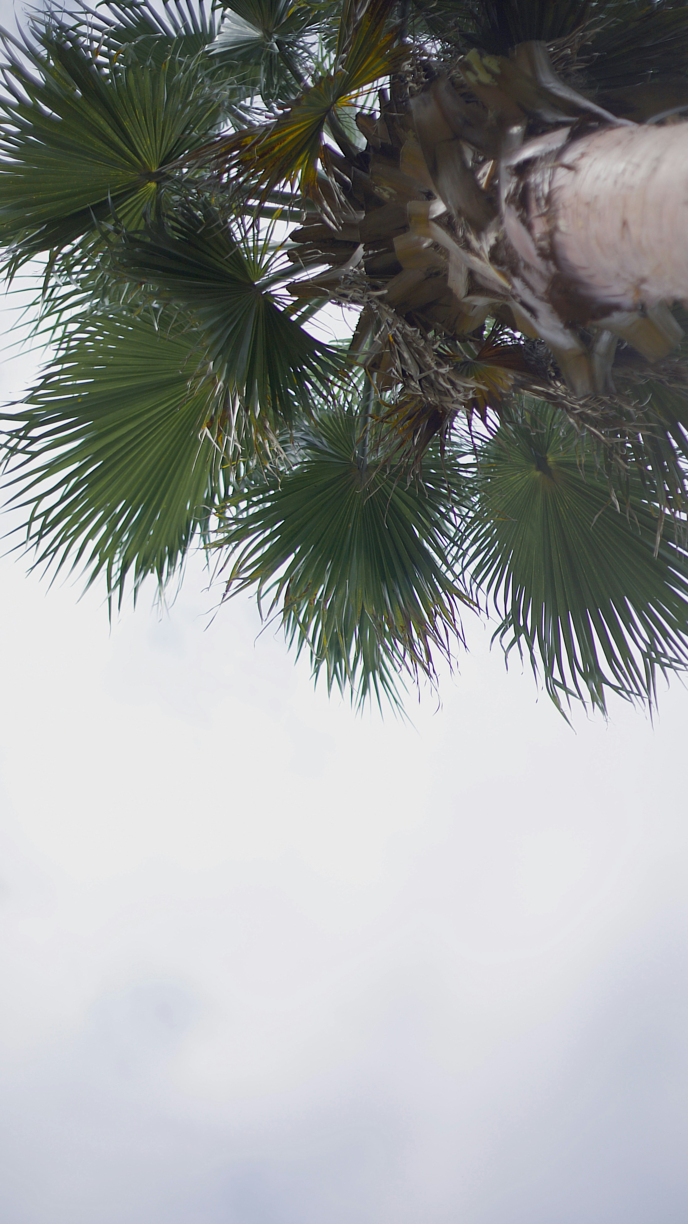 Photo by hanxiaoyaaaaa