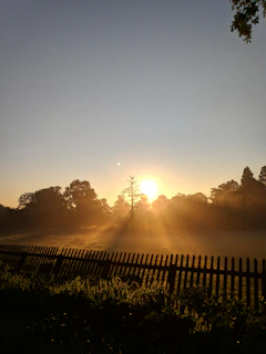 A serene early morning scene with a camera resting on a wooden fence, soft golden light illuminating dew-covered grass.