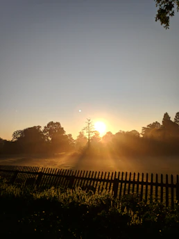 A serene early morning scene with a camera resting on a wooden fence, soft golden light illuminating dew-covered grass.