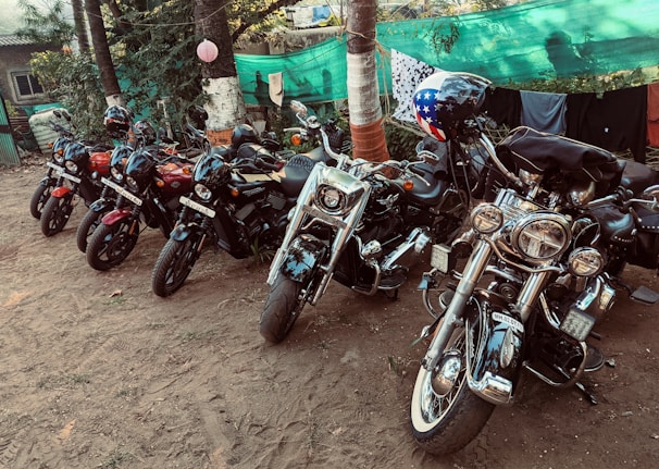 A collection of used motorcycles available for sale.