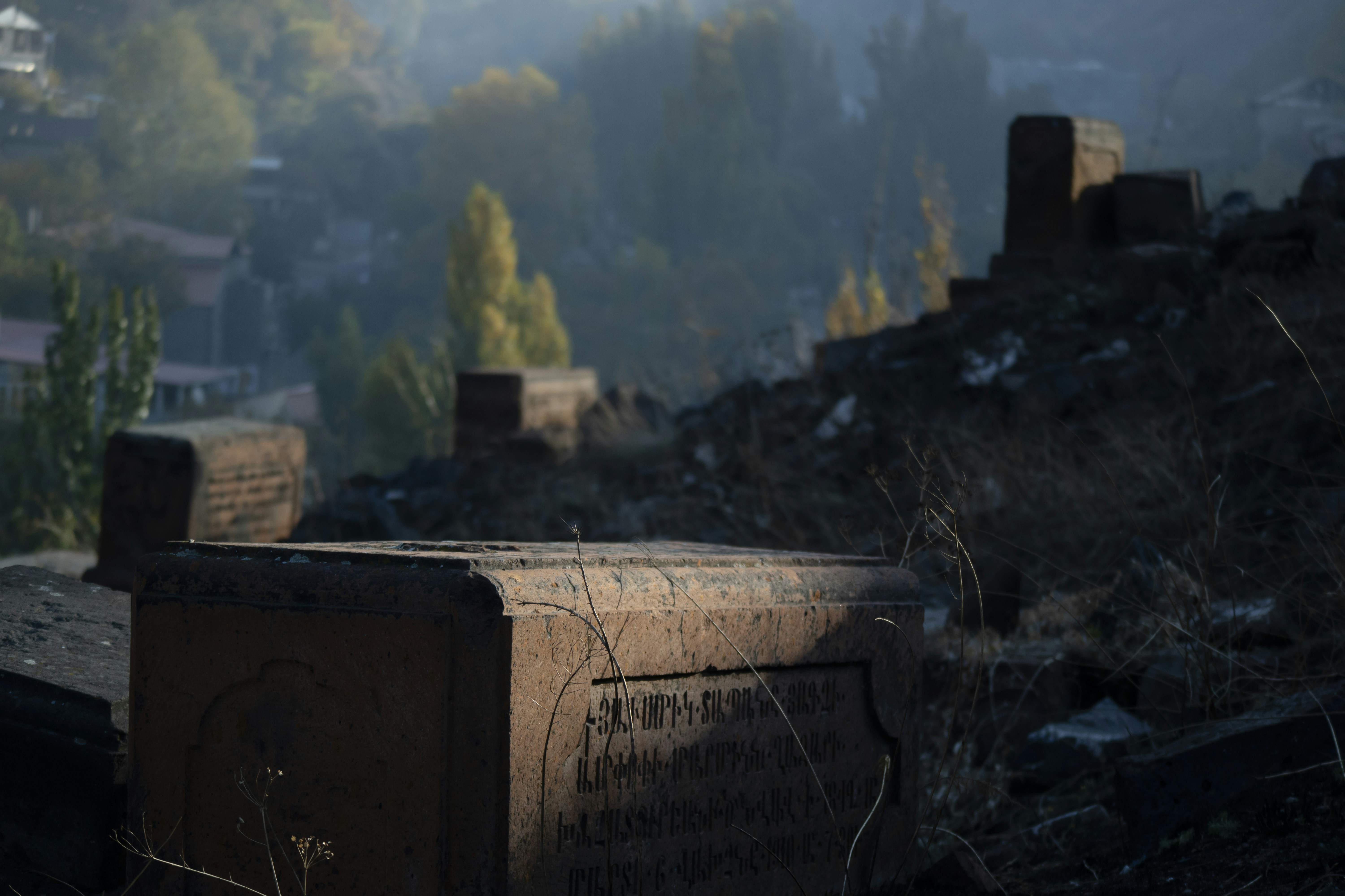 Photo by mostafa_meraji