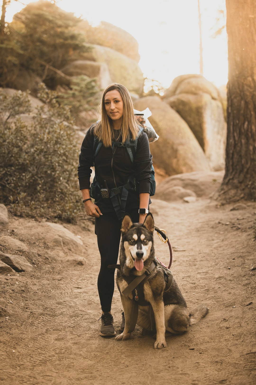 woman in black leather jacket standing beside black and white short coated dog during daytime