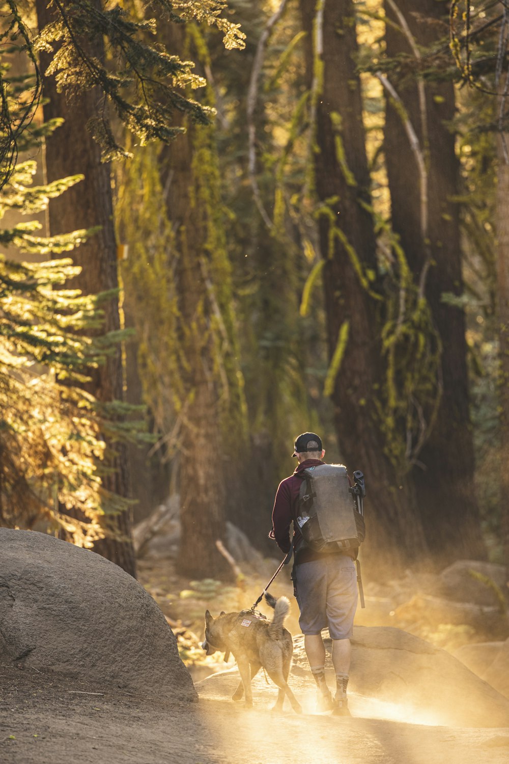 man in black jacket and gray pants standing on brown log in forest during daytime