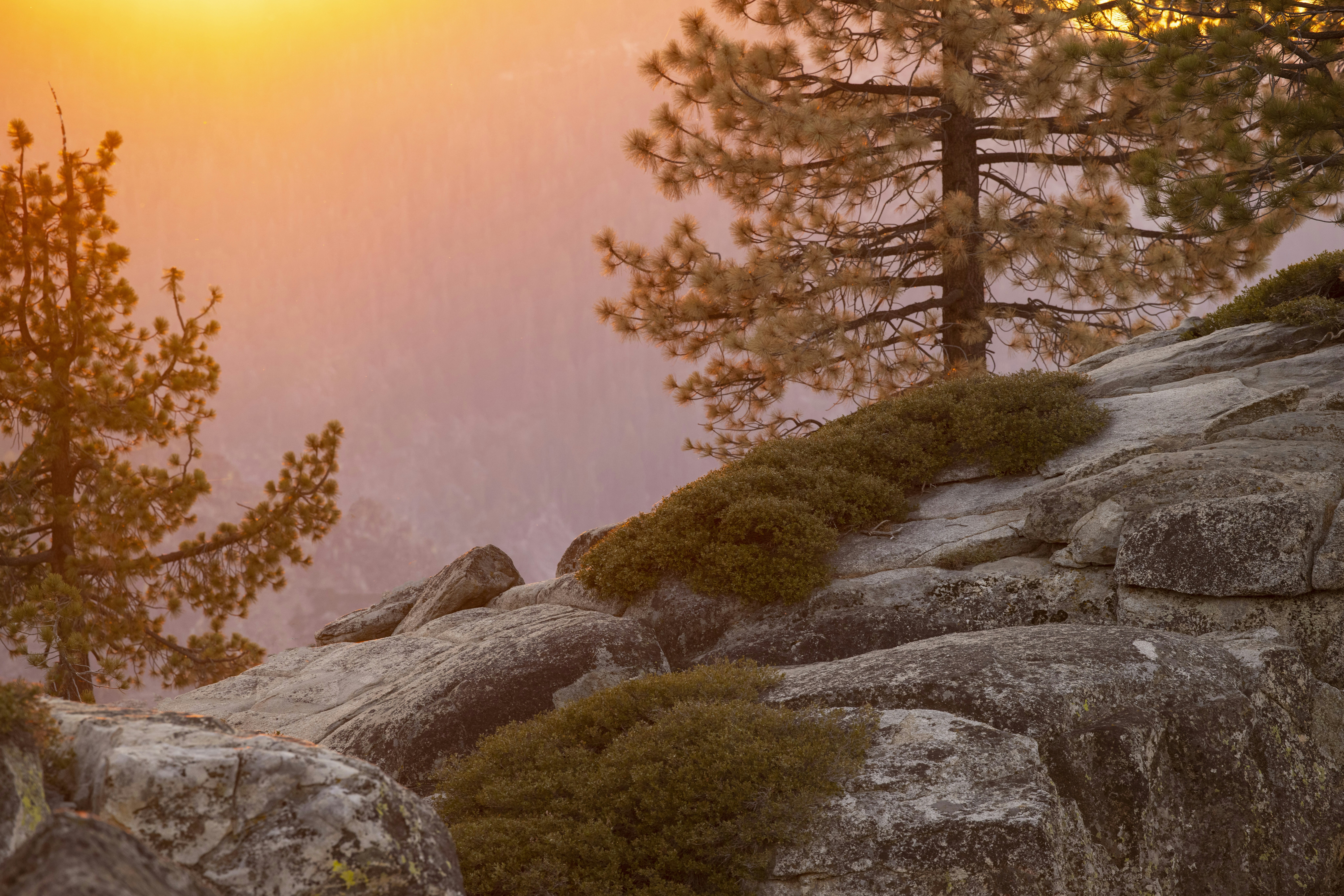 Photo by leo_visions_