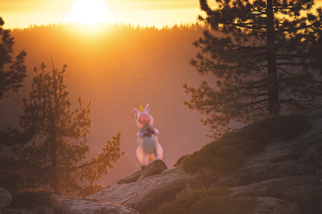 Enchanted Unicorn