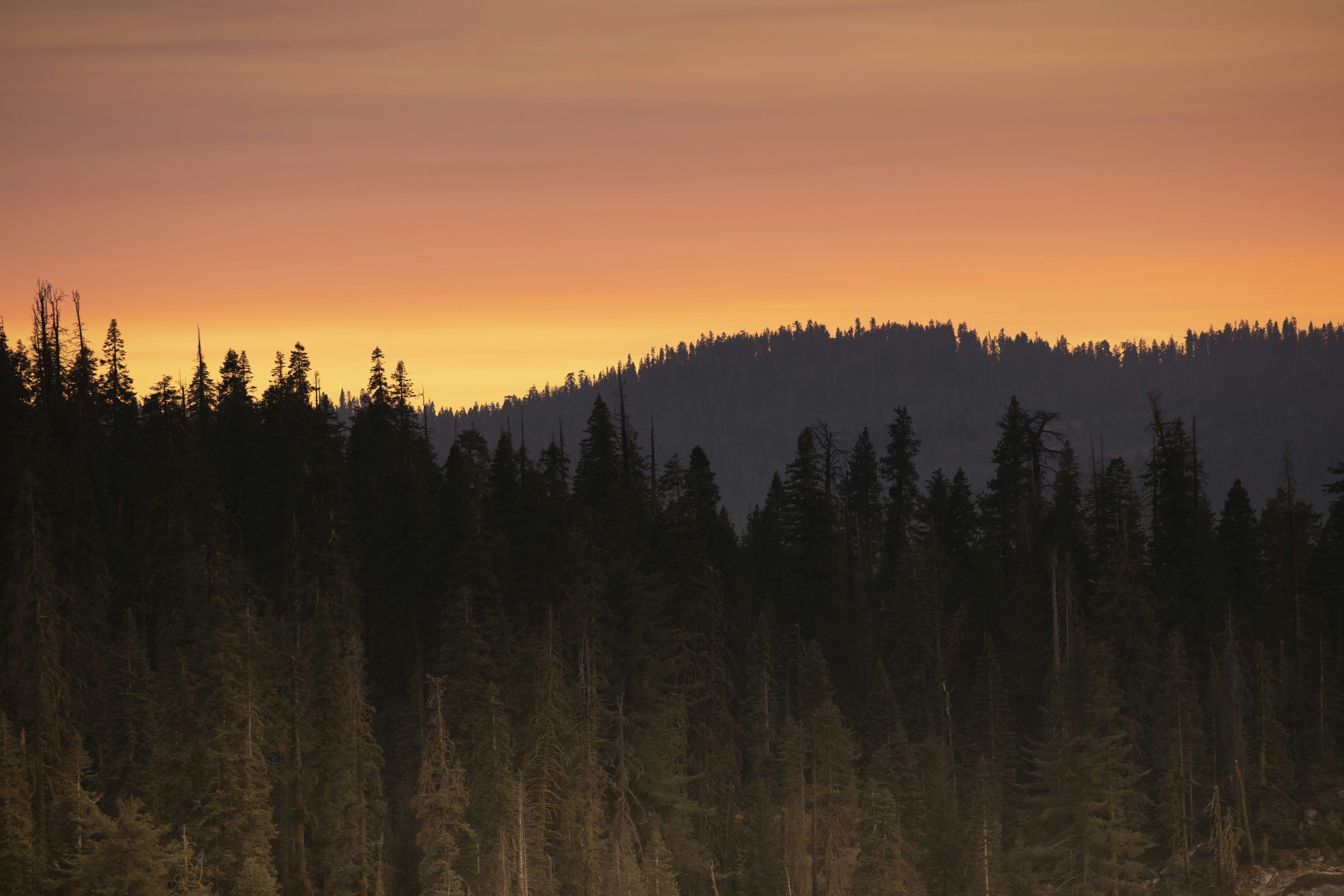 Photo by leo_visions_