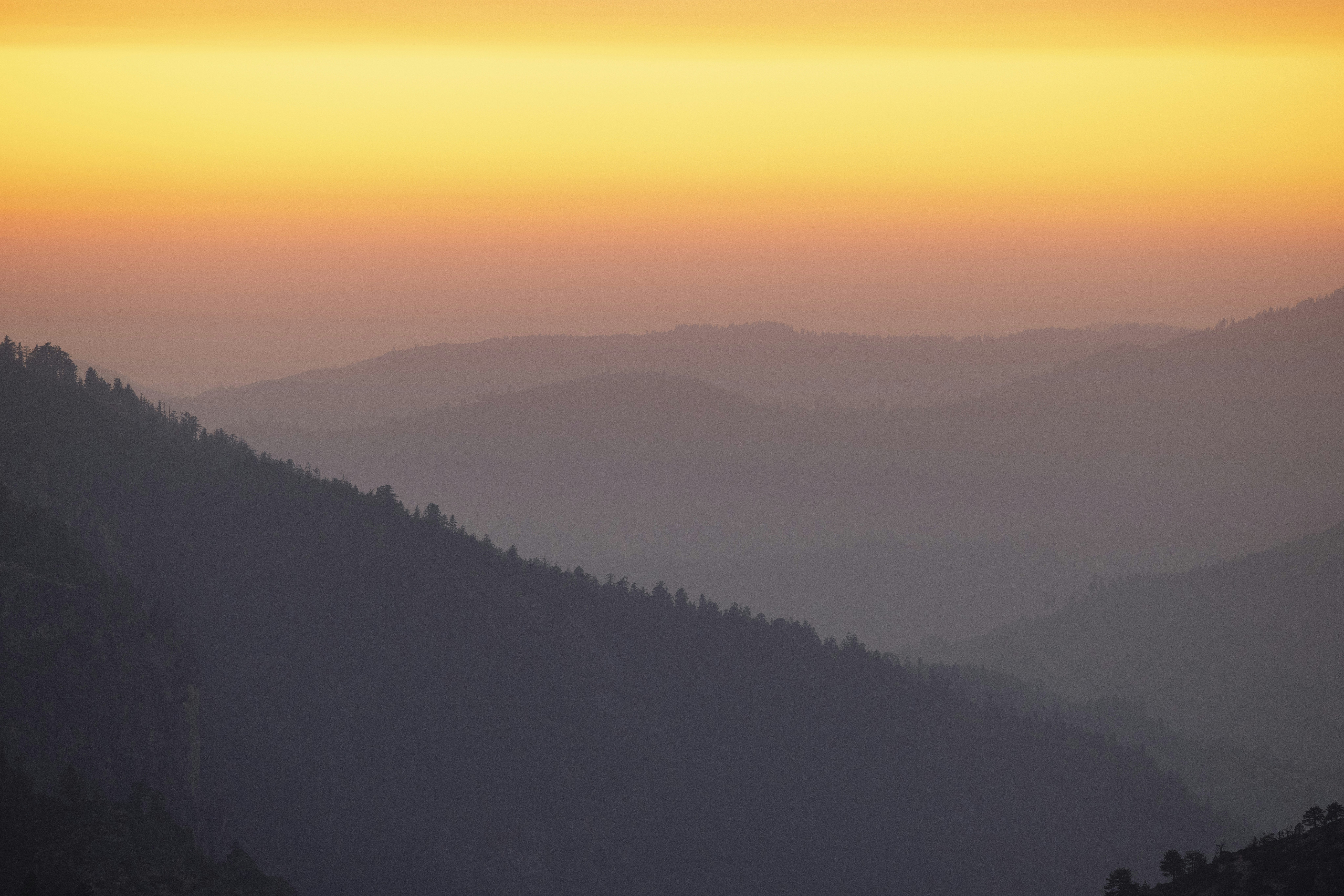 Photo by leo_visions_