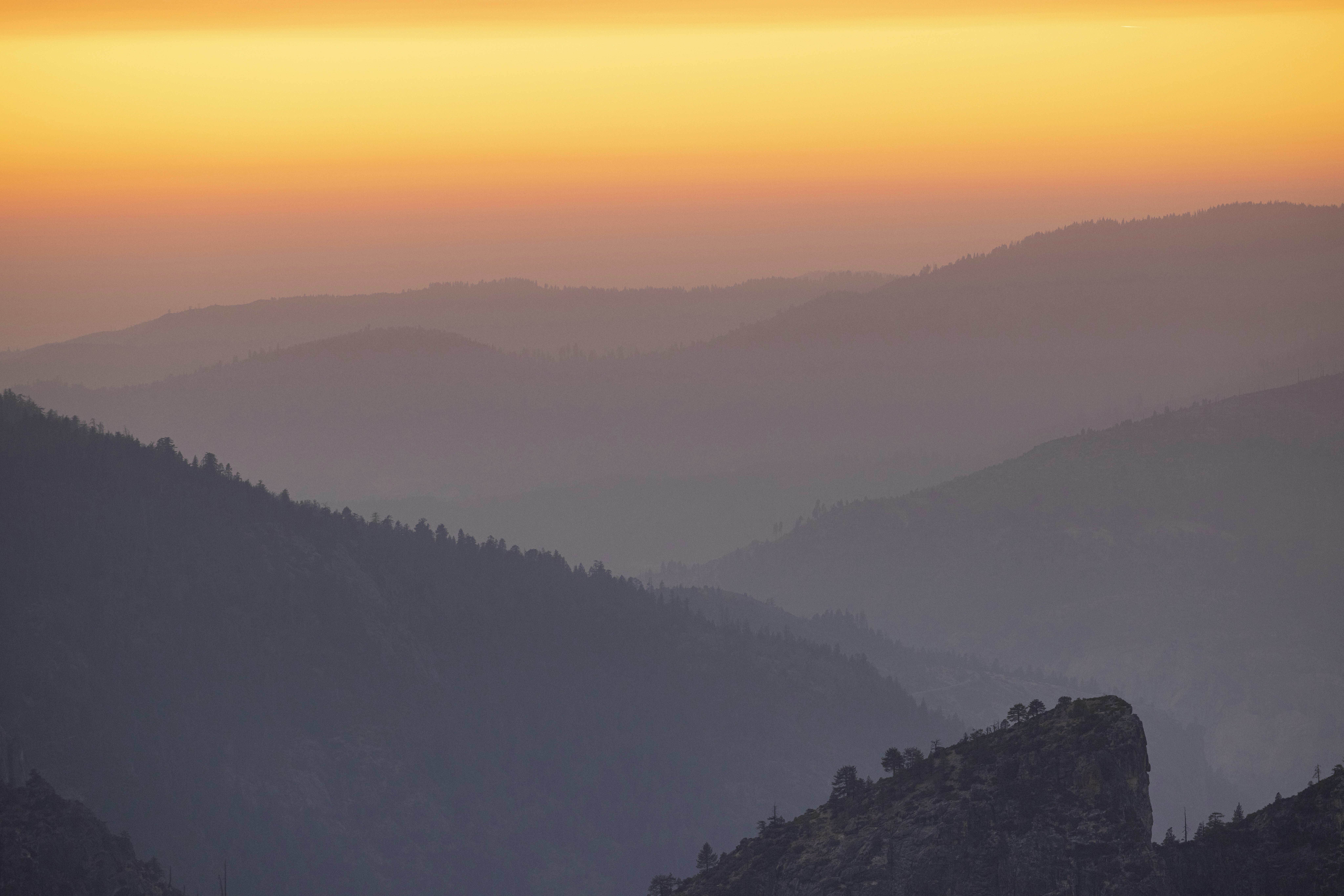 Photo by leo_visions_