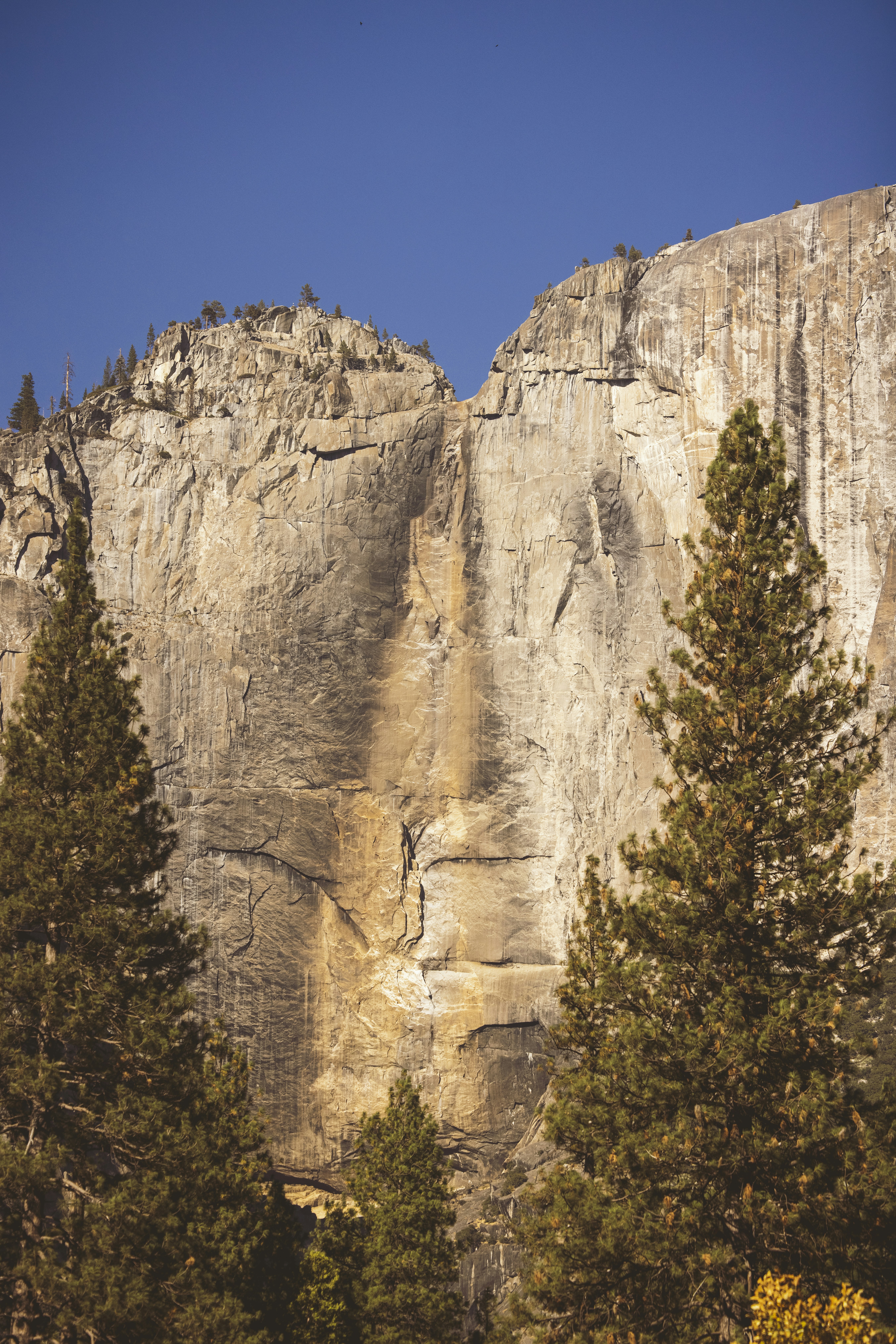 Photo by leo_visions_