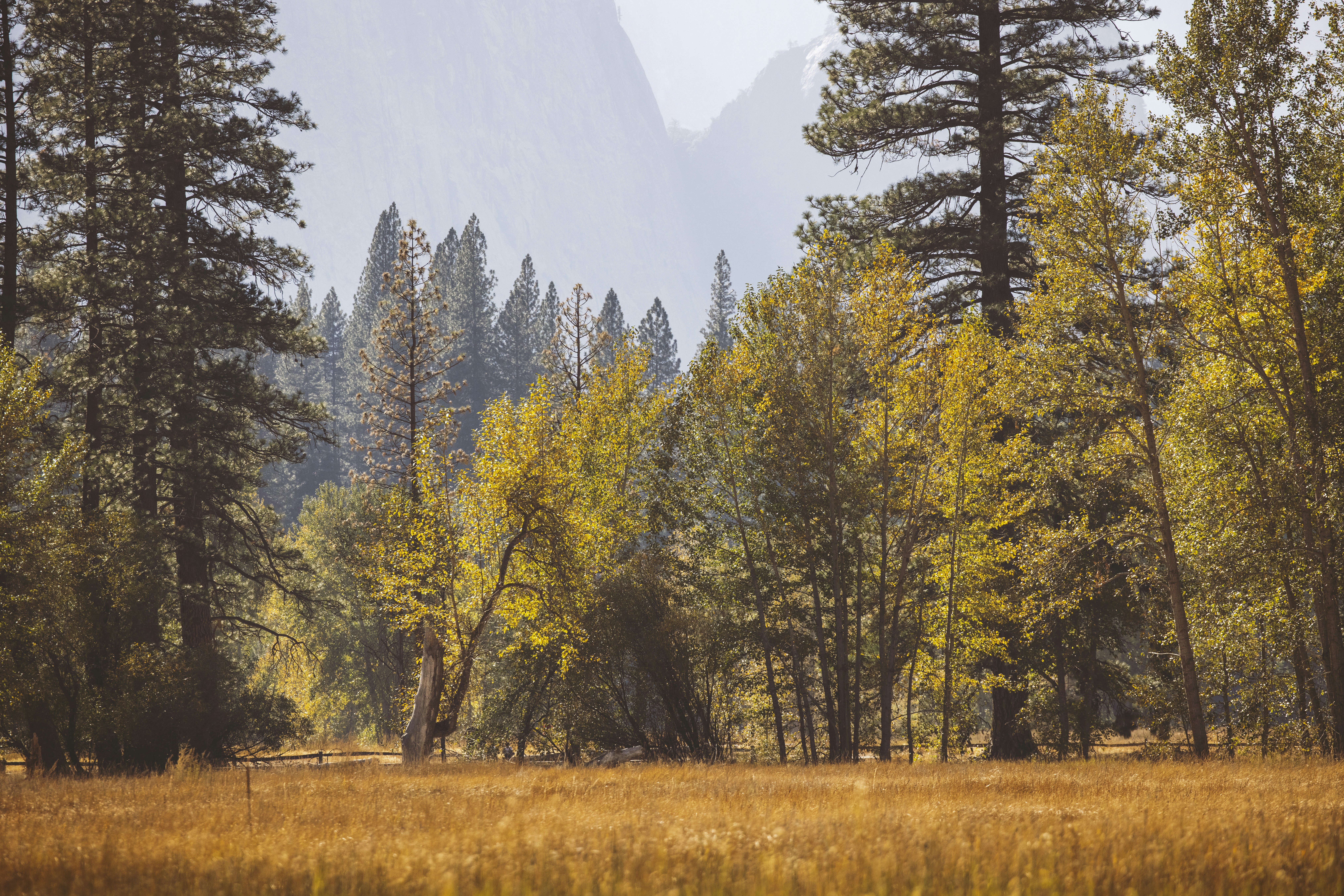 Photo by leo_visions_