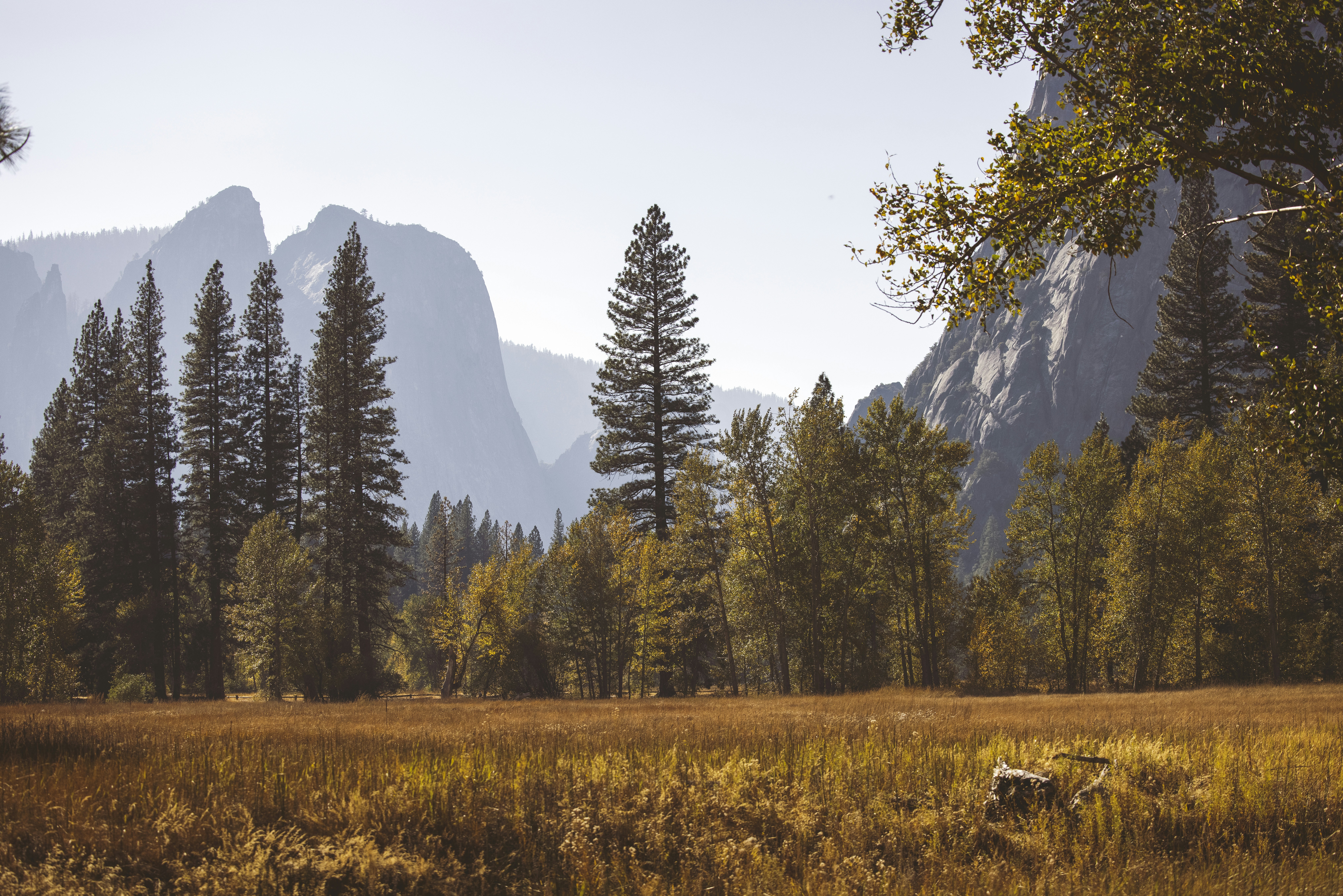 Photo by leo_visions_