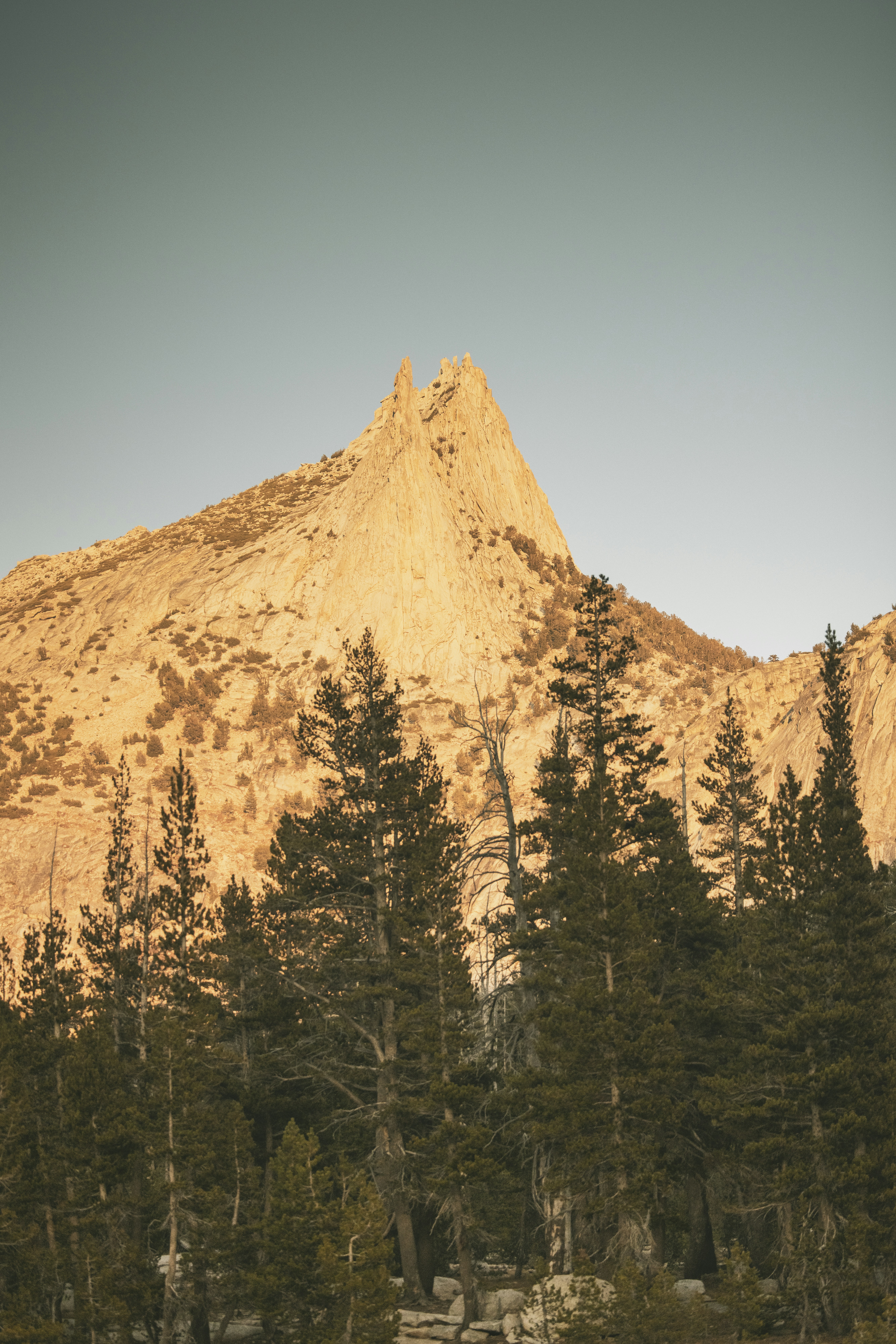 Photo by leo_visions_