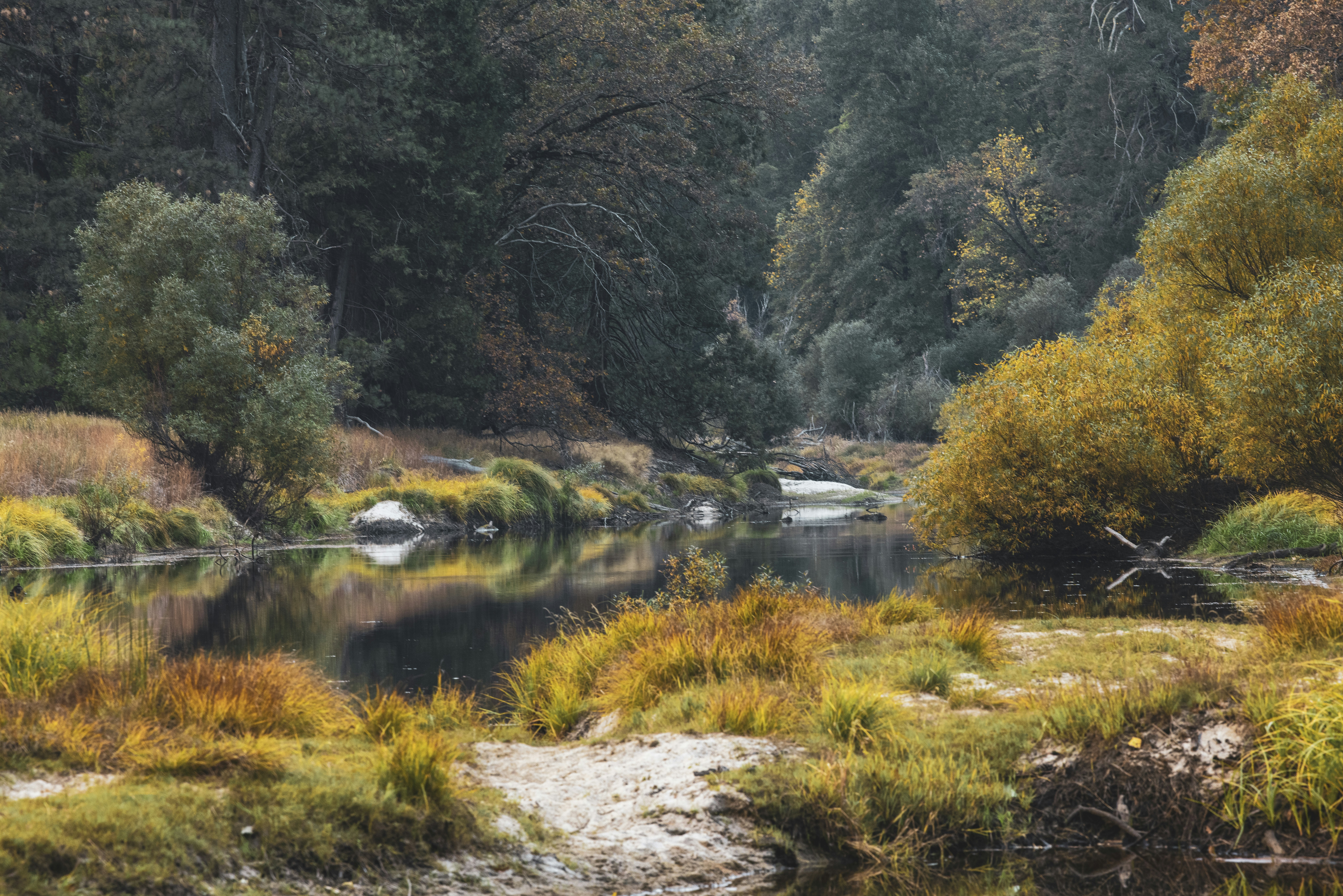 Photo by leo_visions_