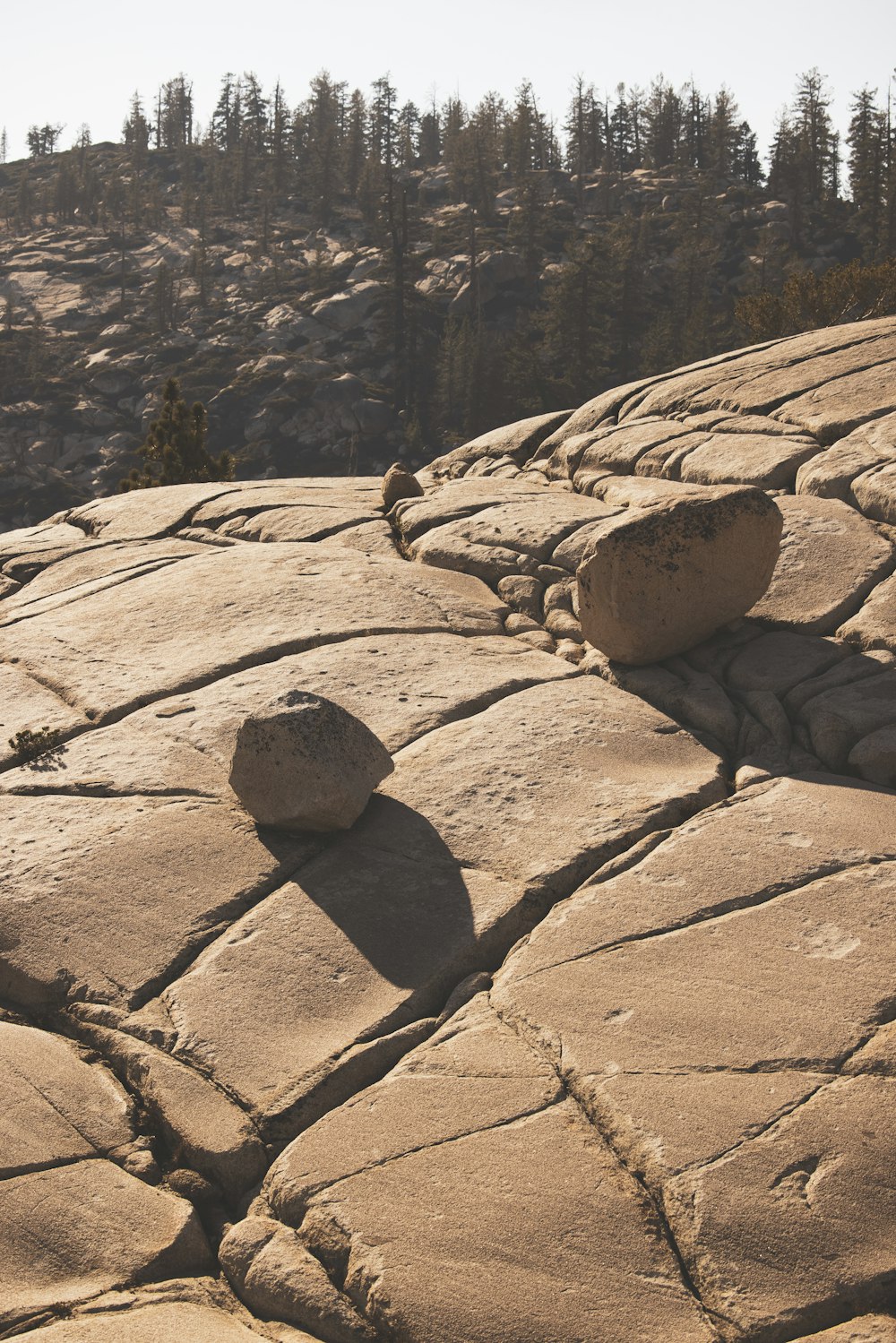 brown rock formation near green trees during daytime