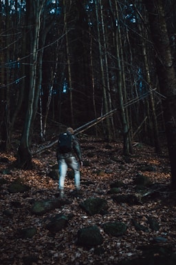 A person wearing a backpack and outdoor gear is walking through a dense forest filled with tall, bare trees and scattered leaves on the ground. The scene suggests a late autumn or early winter setting with low light filtering through the tree canopy.