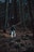 A person wearing a backpack and outdoor gear is walking through a dense forest filled with tall, bare trees and scattered leaves on the ground. The scene suggests a late autumn or early winter setting with low light filtering through the tree canopy.